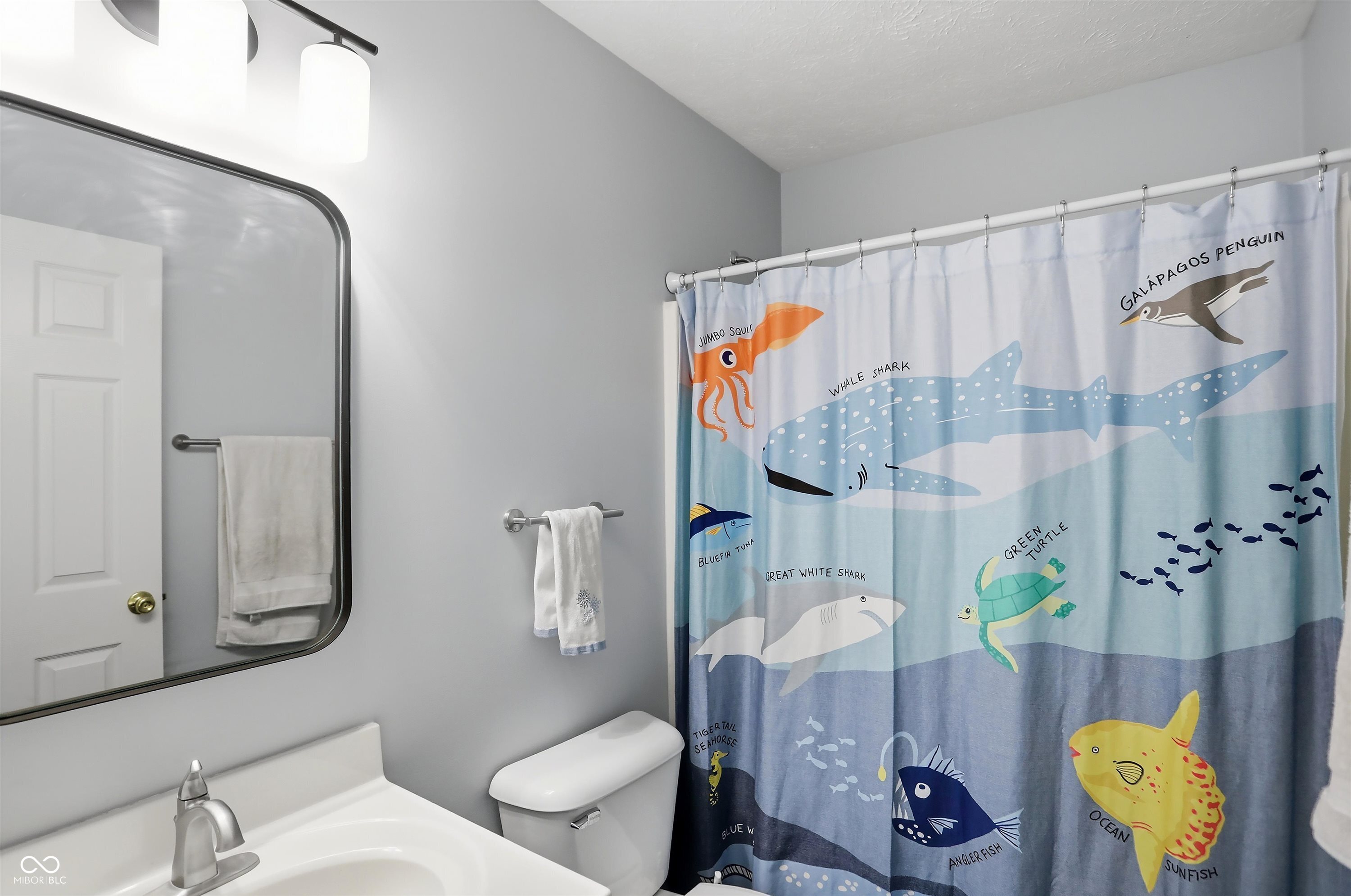 11201 Basswood Court