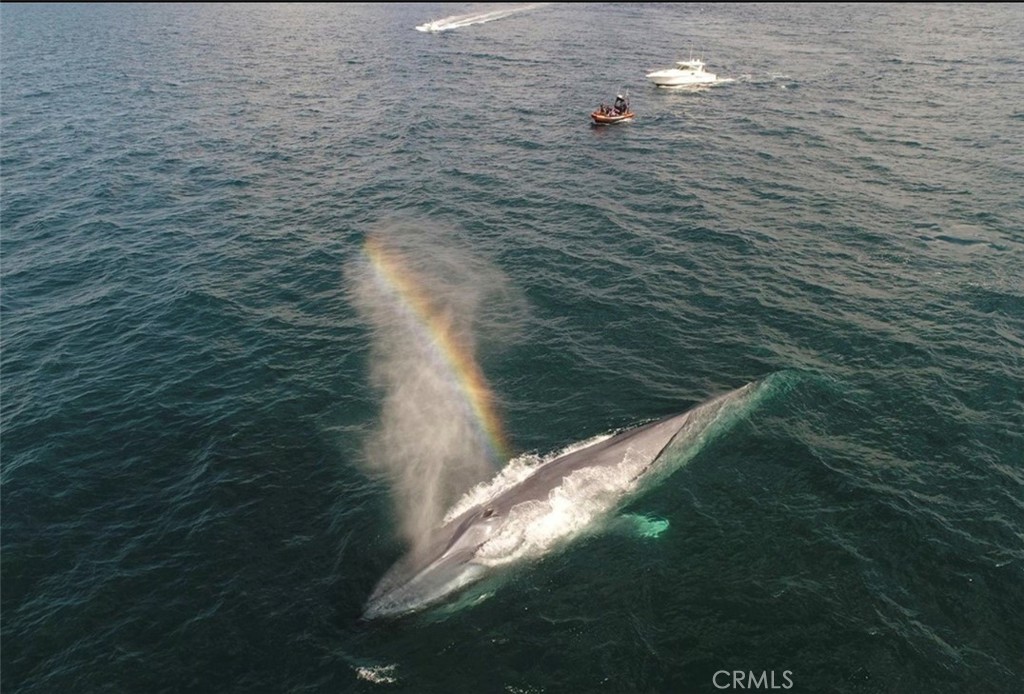 24839 #4 Nueva Vista