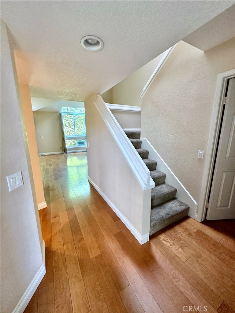 308 San Nicholas Court