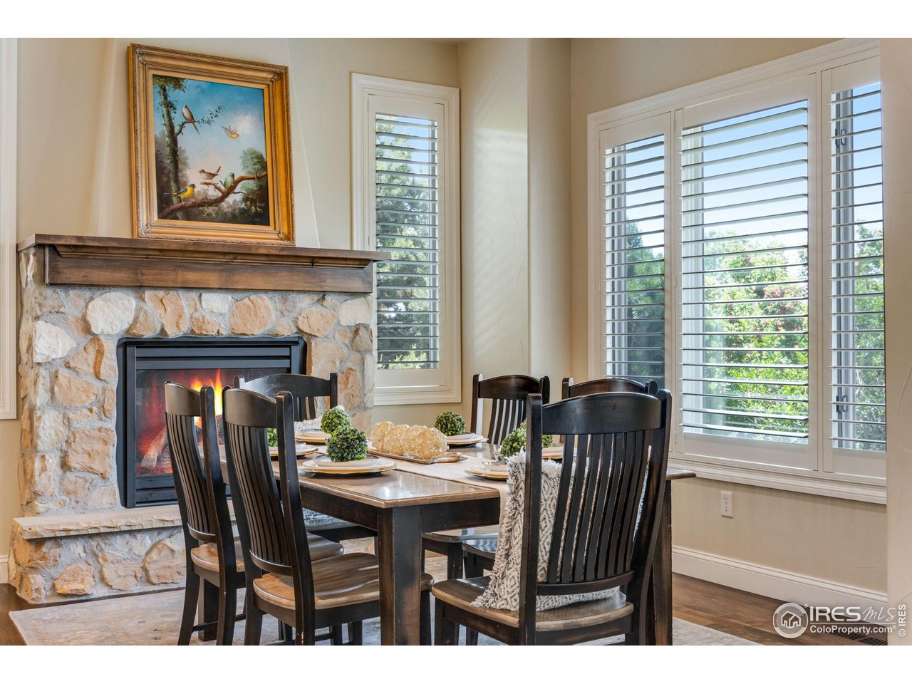 937 Skipping Stone Ct