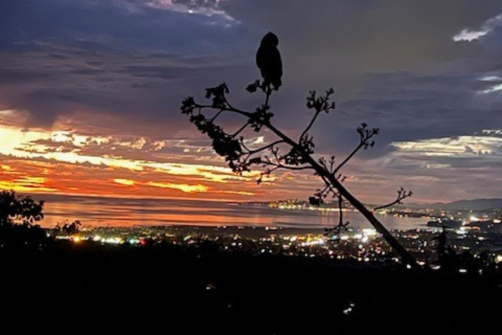 6660 Gobernador Canyon Road