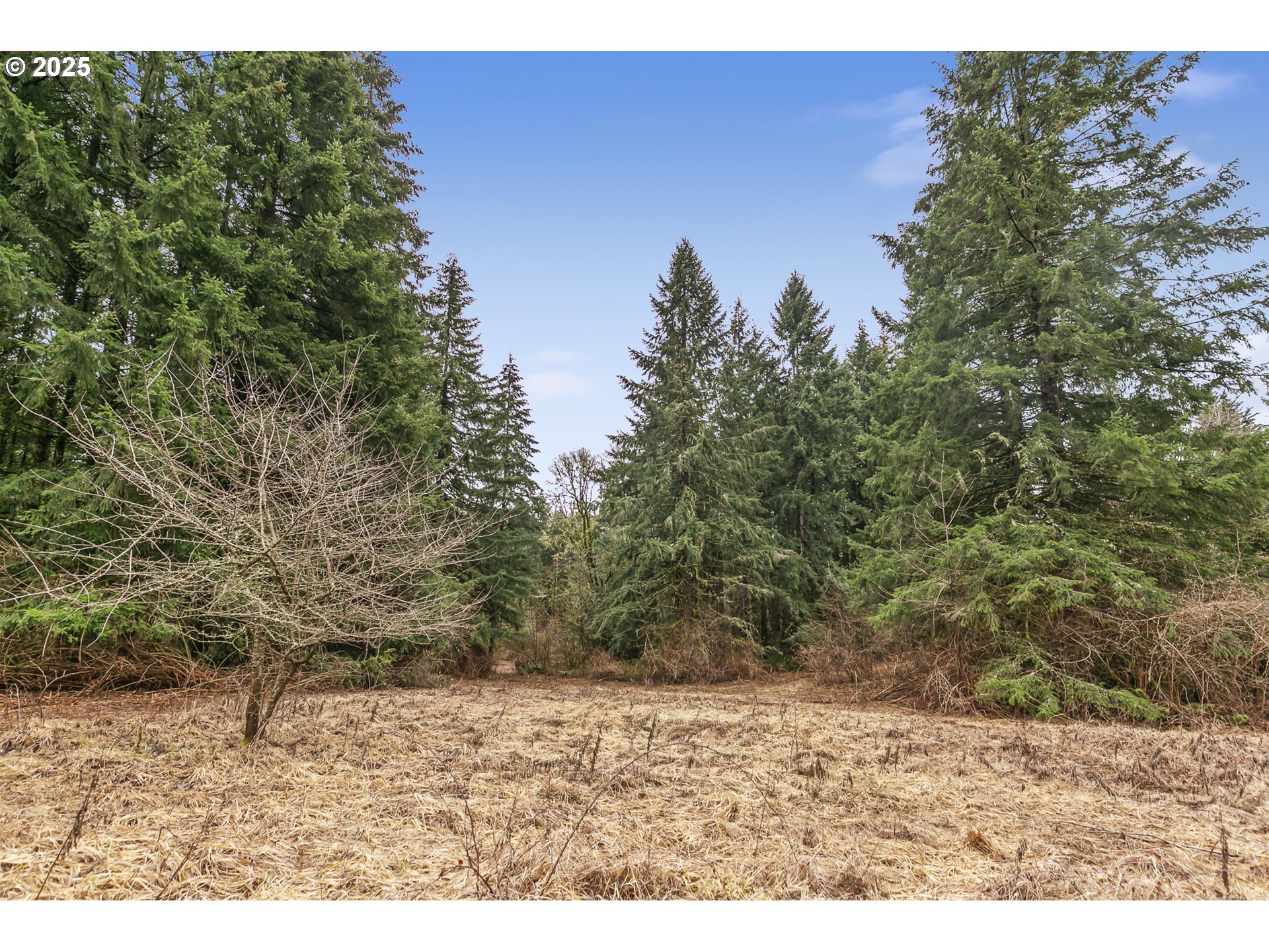 16303 NE 259TH ST, Battle Ground