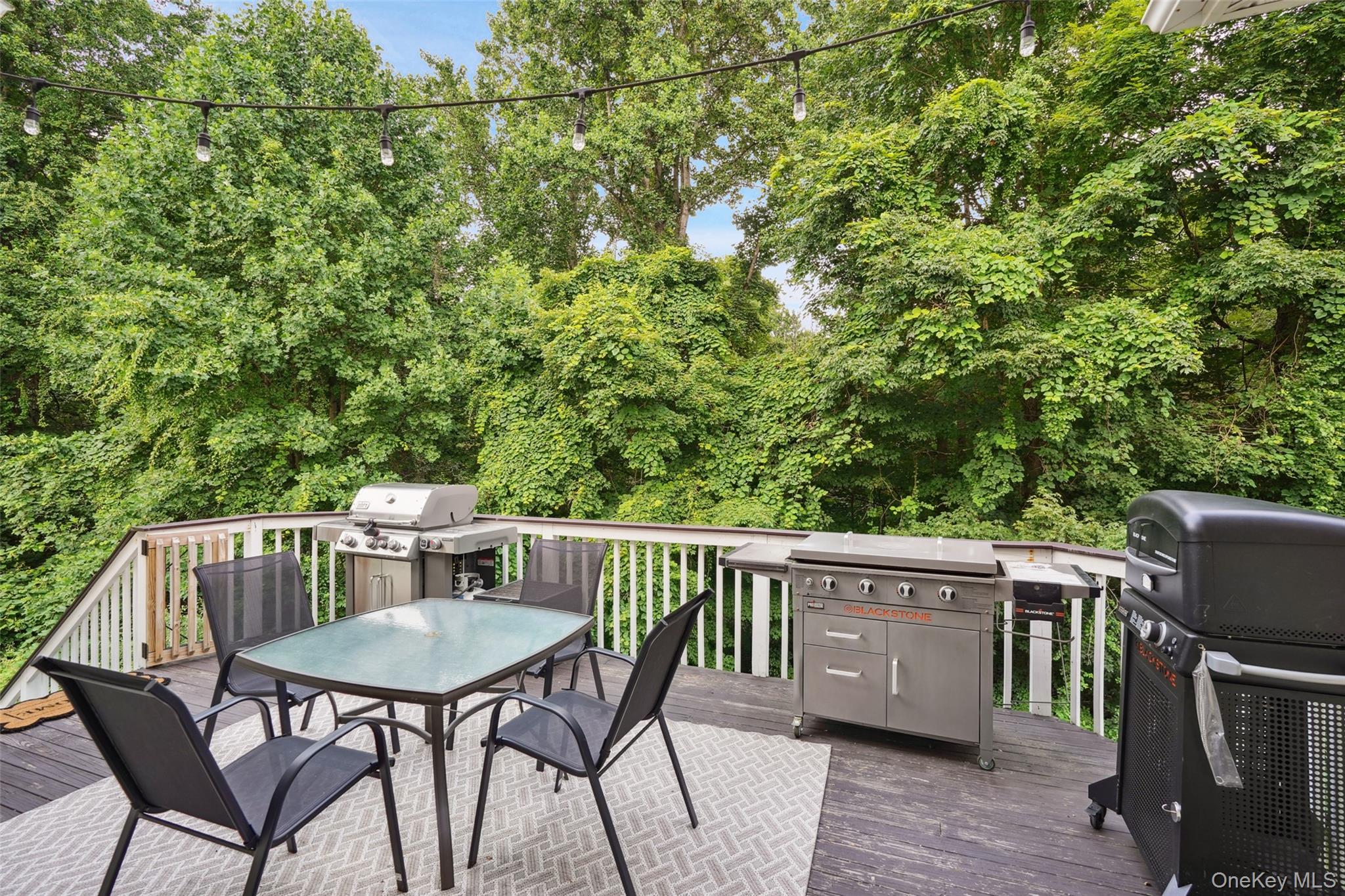 53 Quail Lane