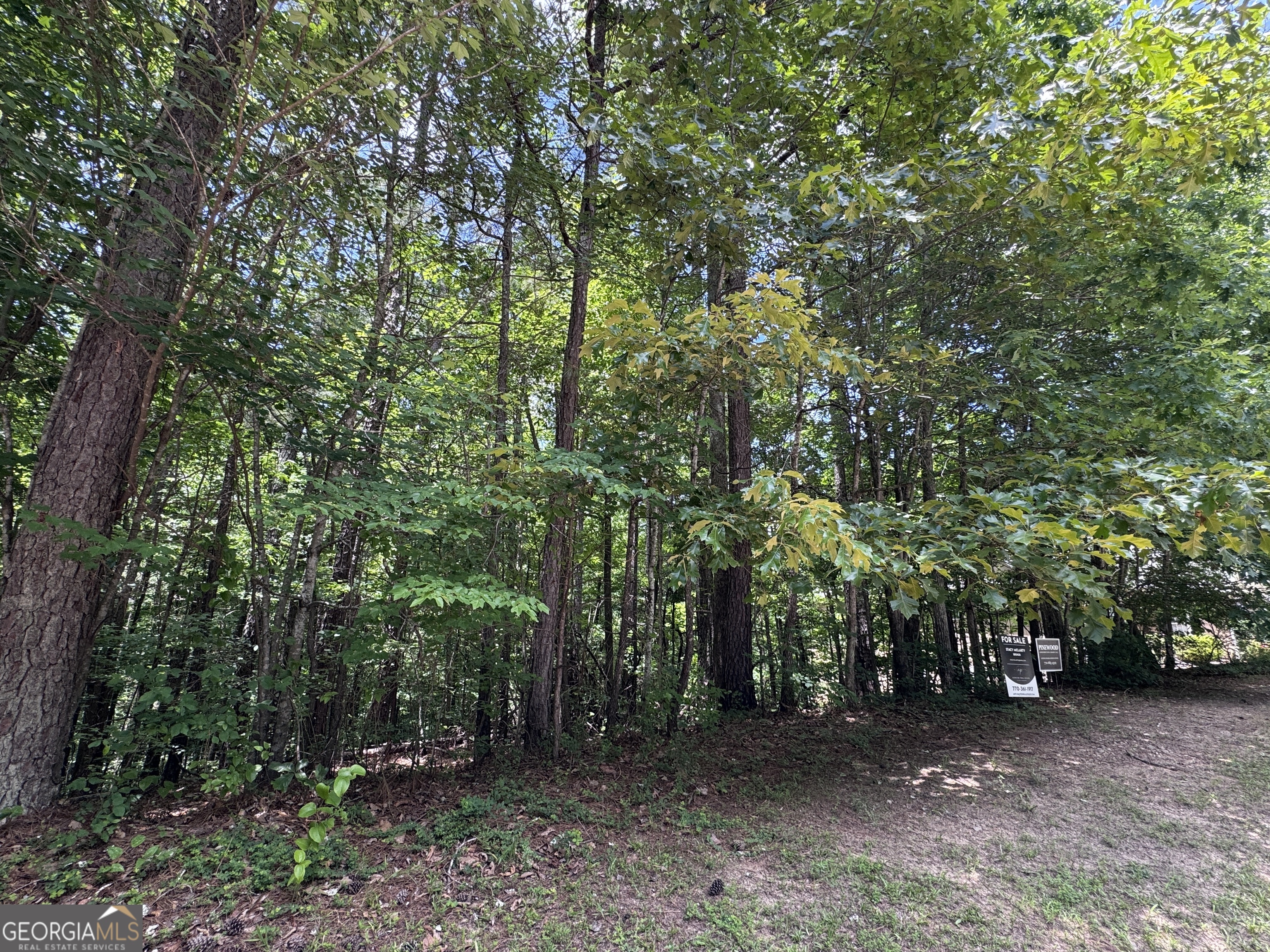 201 Stonebridge Boulevard