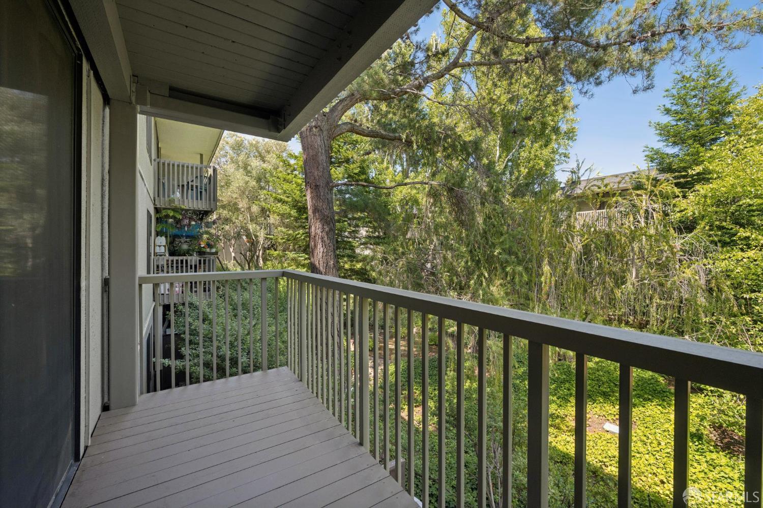 5206 Shelter Creek Lane
