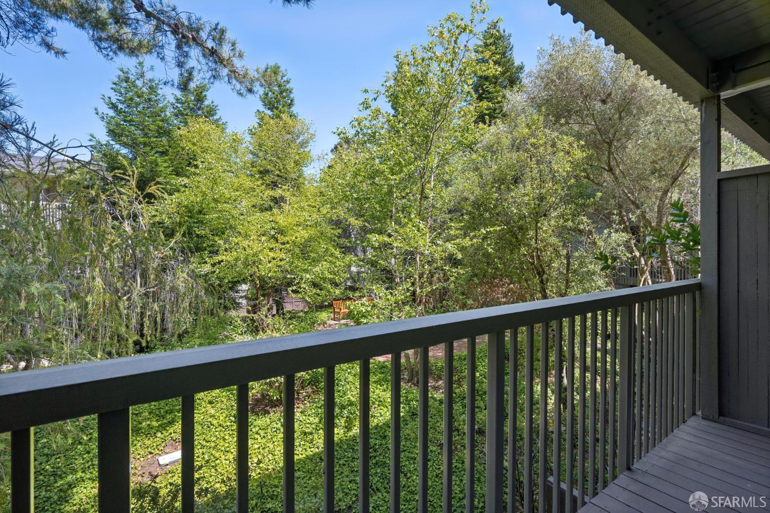 5206 Shelter Creek Lane