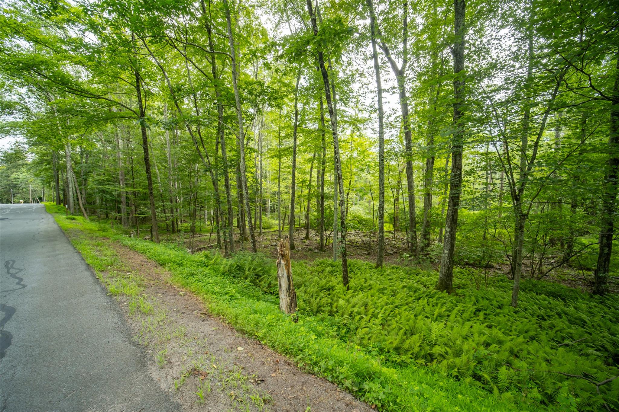 181 Wilson Road