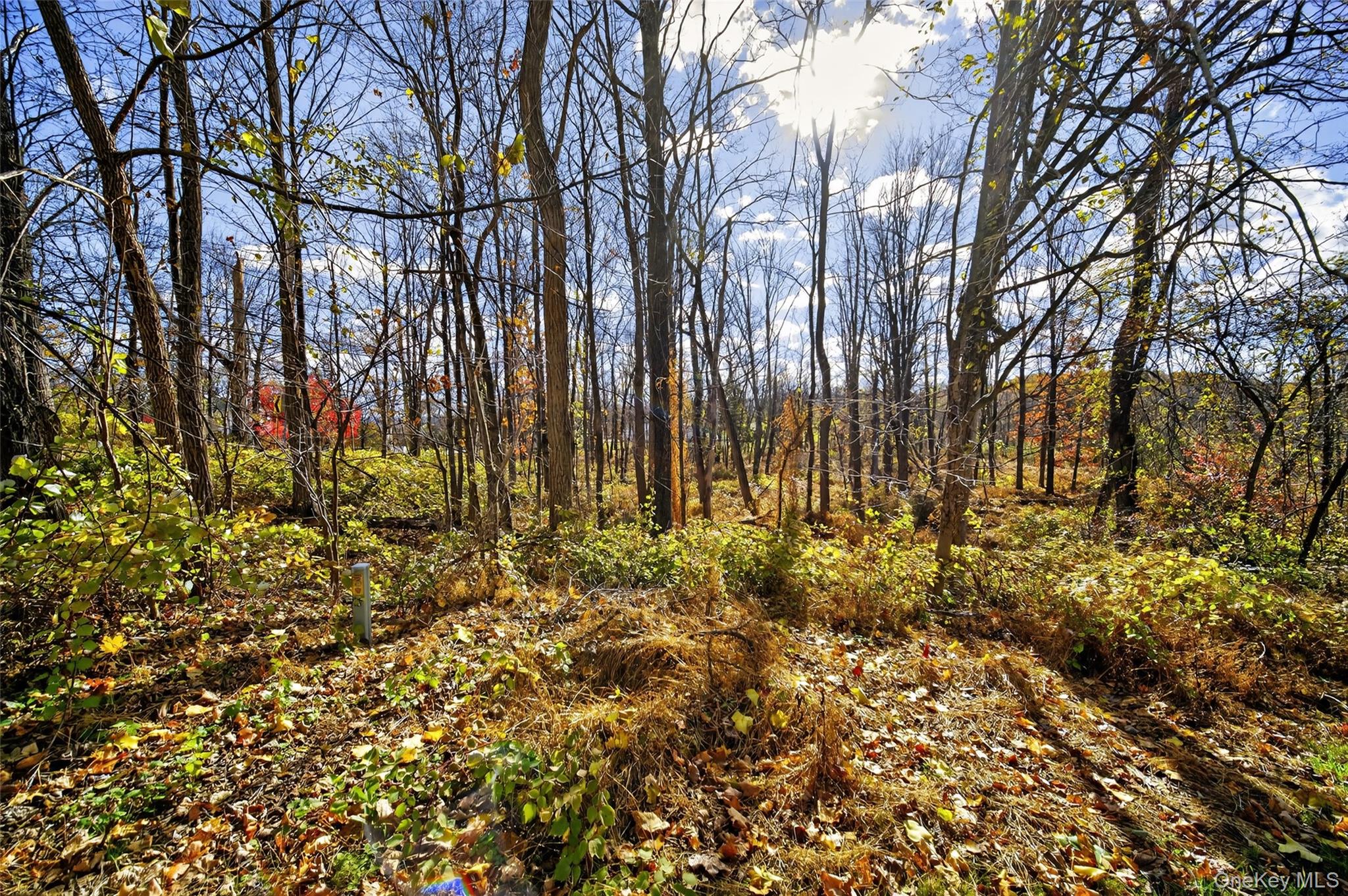 77 Pine Island Turnpike