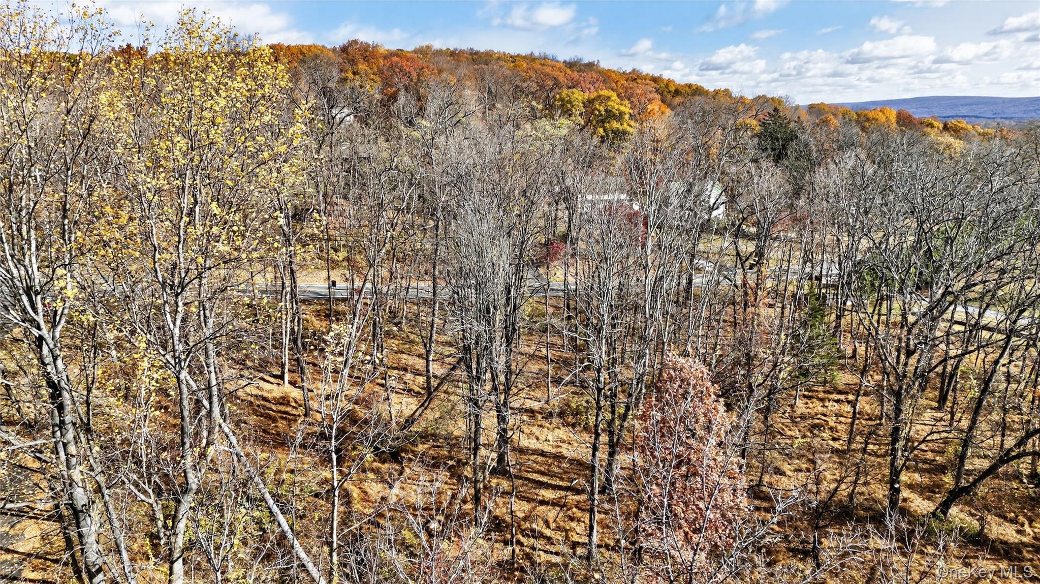 77 Pine Island Turnpike