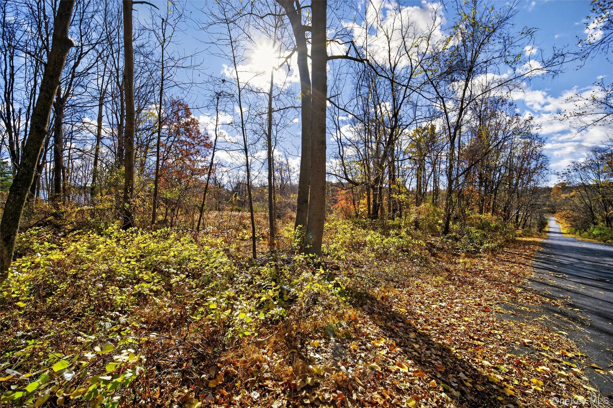 77 Pine Island Turnpike