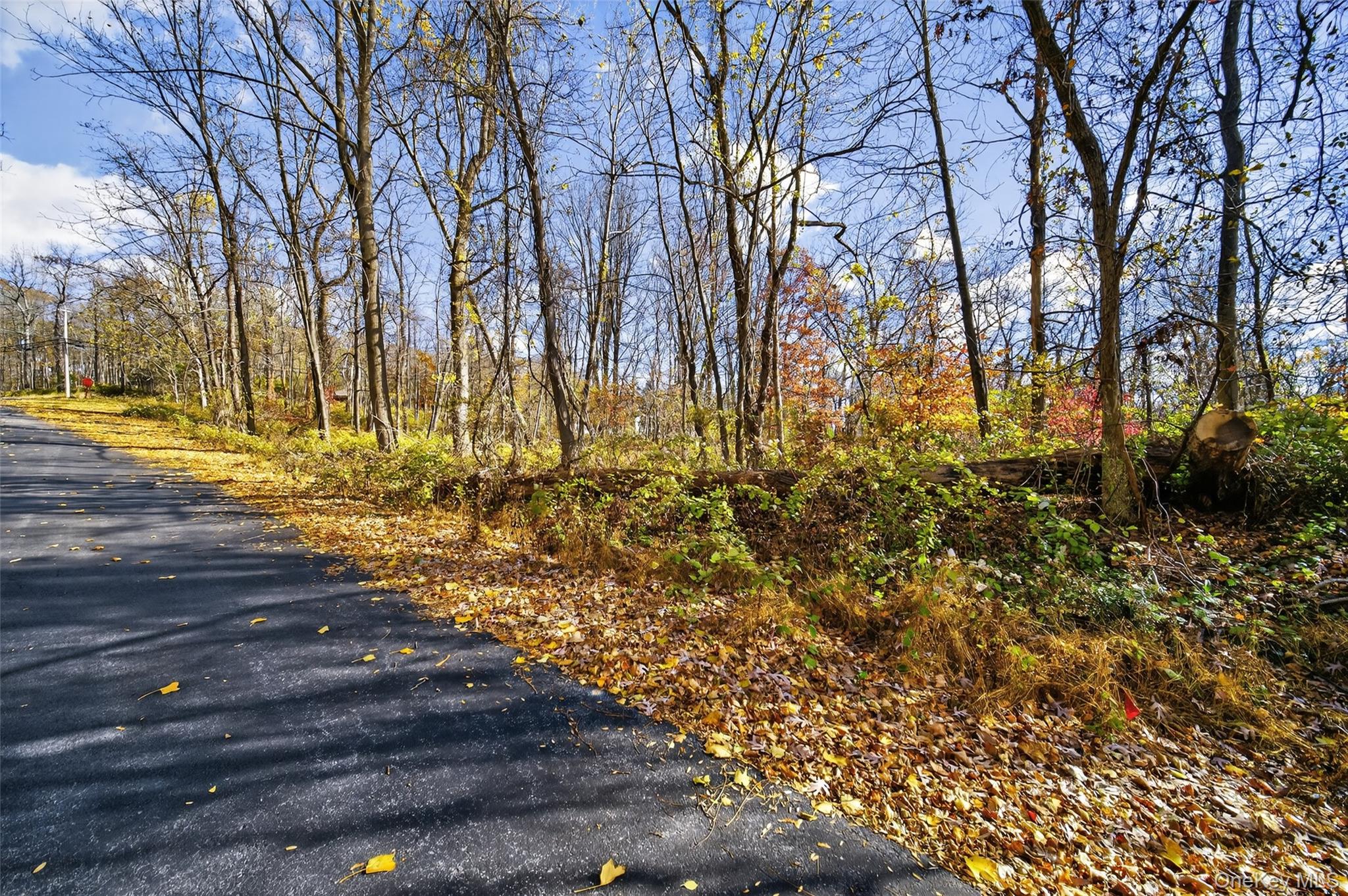 77 Pine Island Turnpike