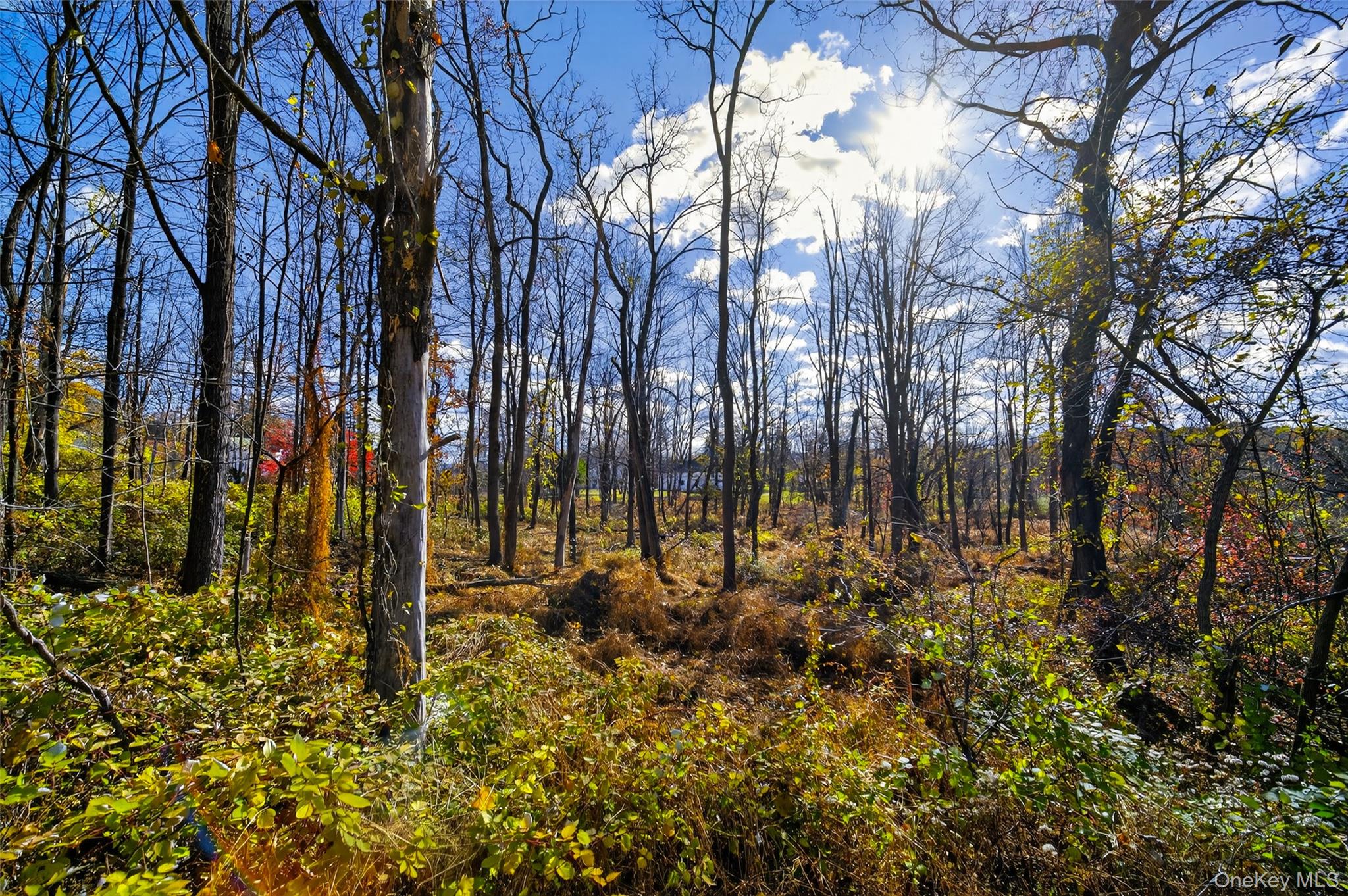 77 Pine Island Turnpike