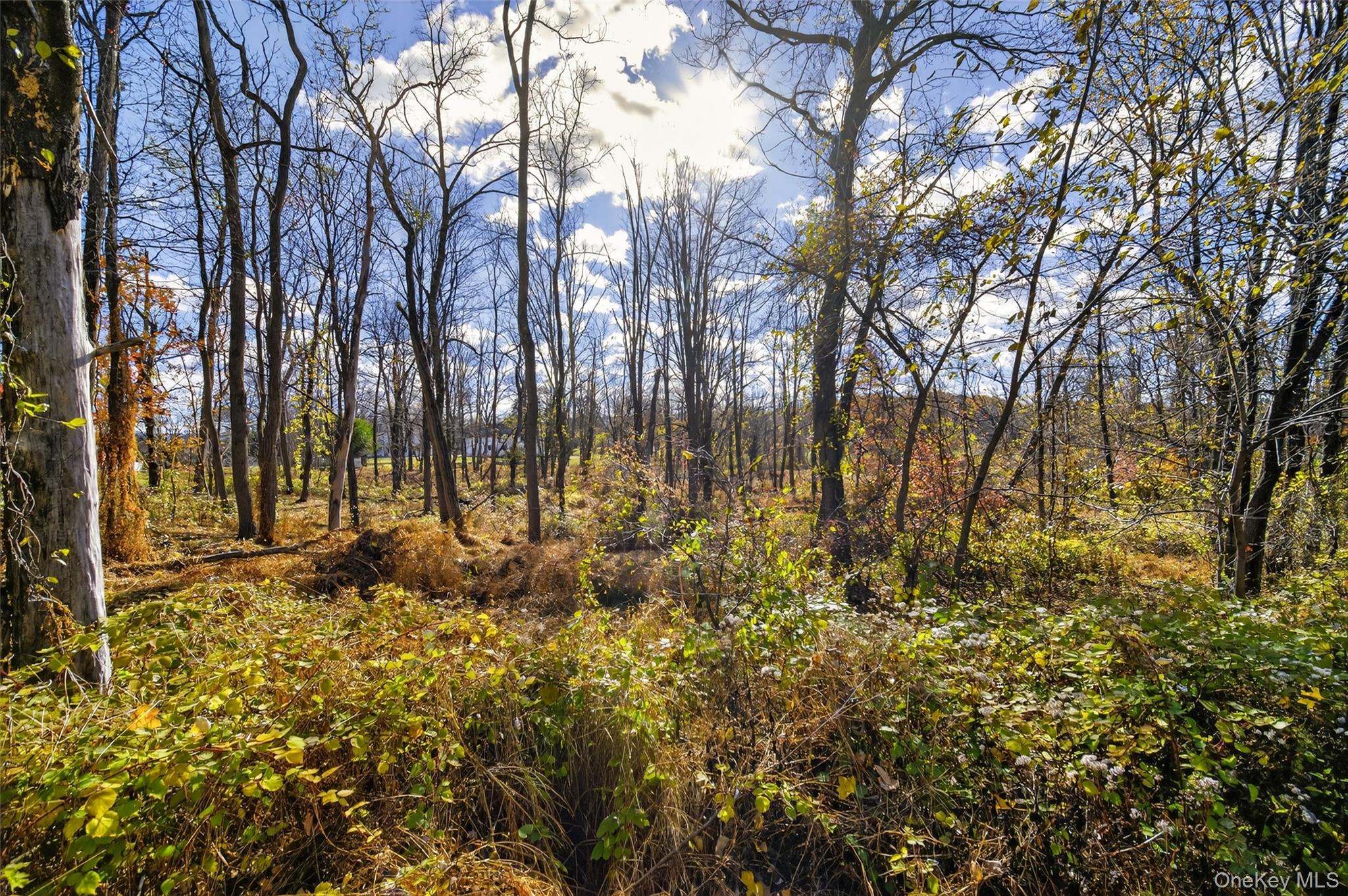 77 Pine Island Turnpike
