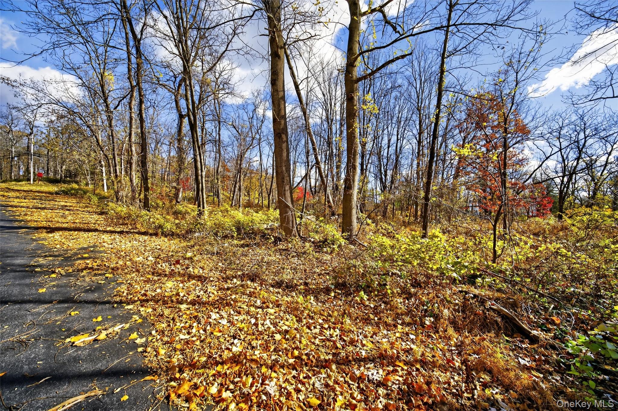 77 Pine Island Turnpike