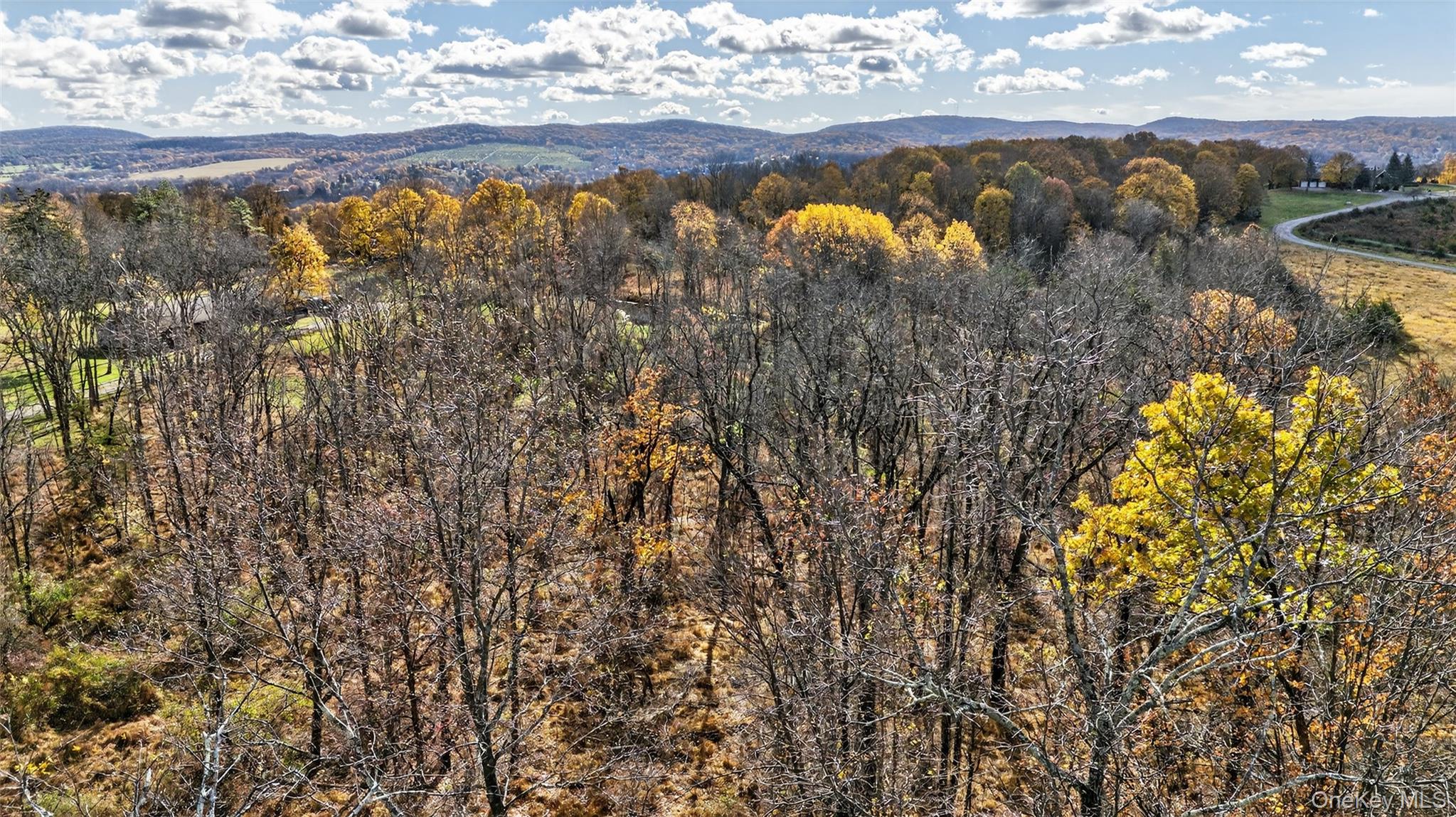 77 Pine Island Turnpike