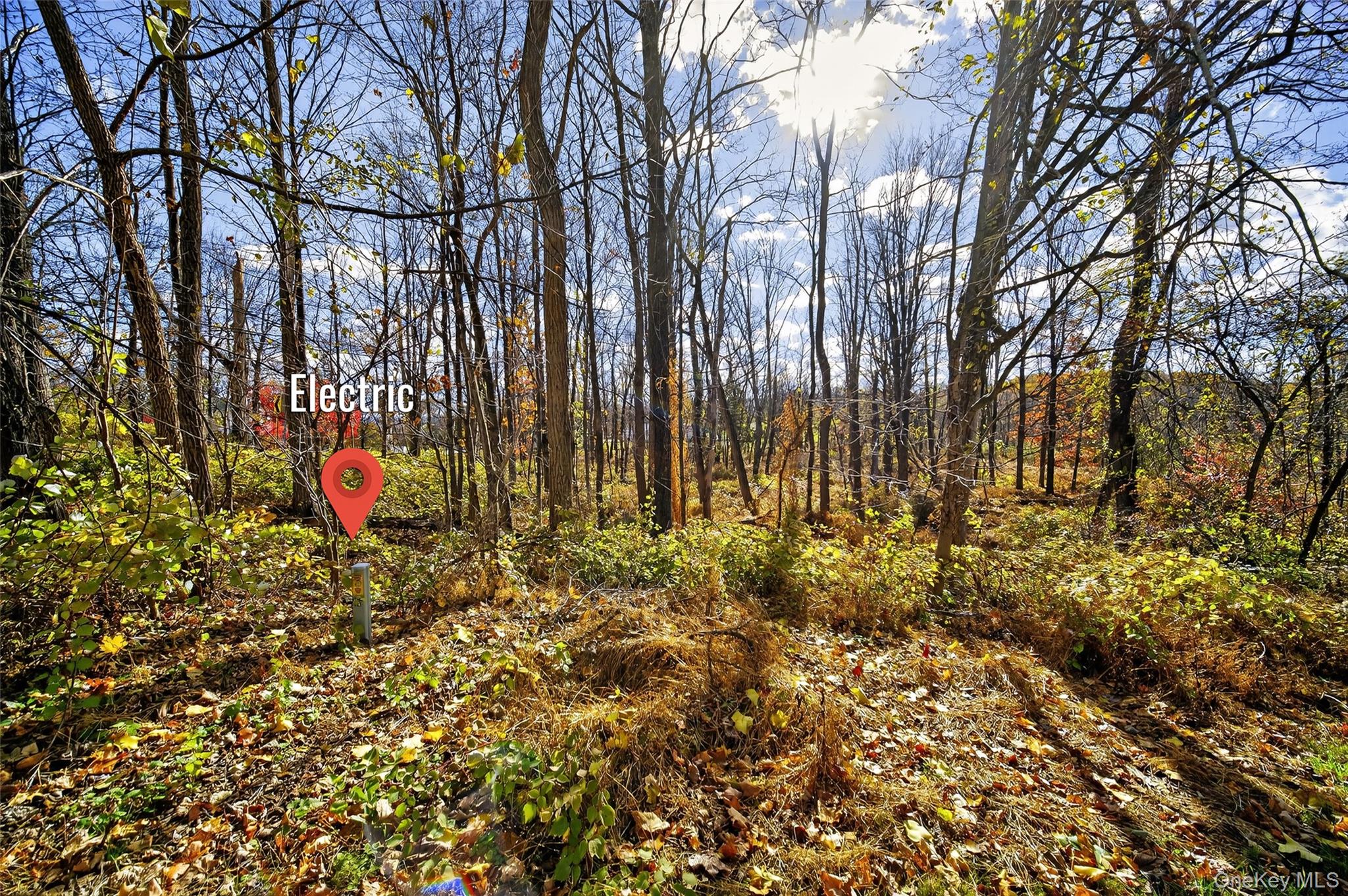 77 Pine Island Turnpike