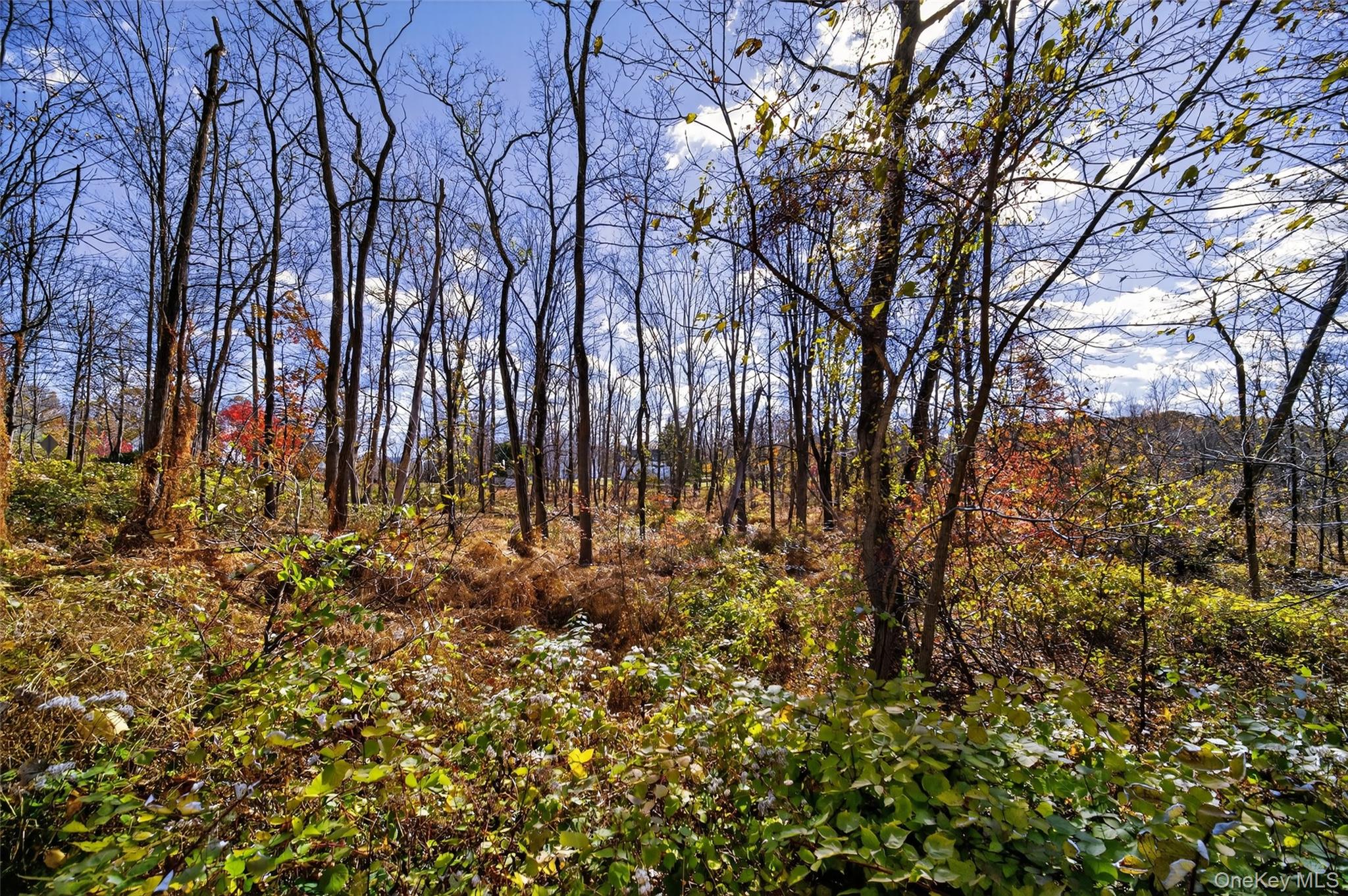 77 Pine Island Turnpike