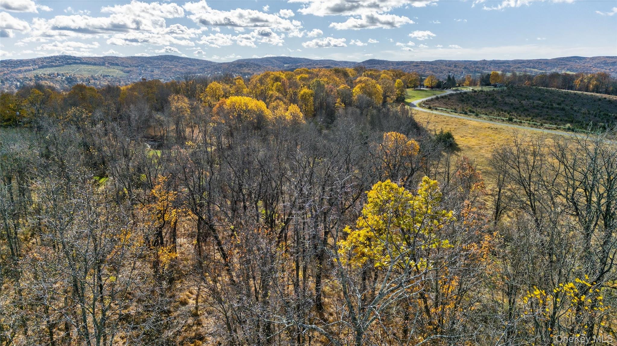 77 Pine Island Turnpike