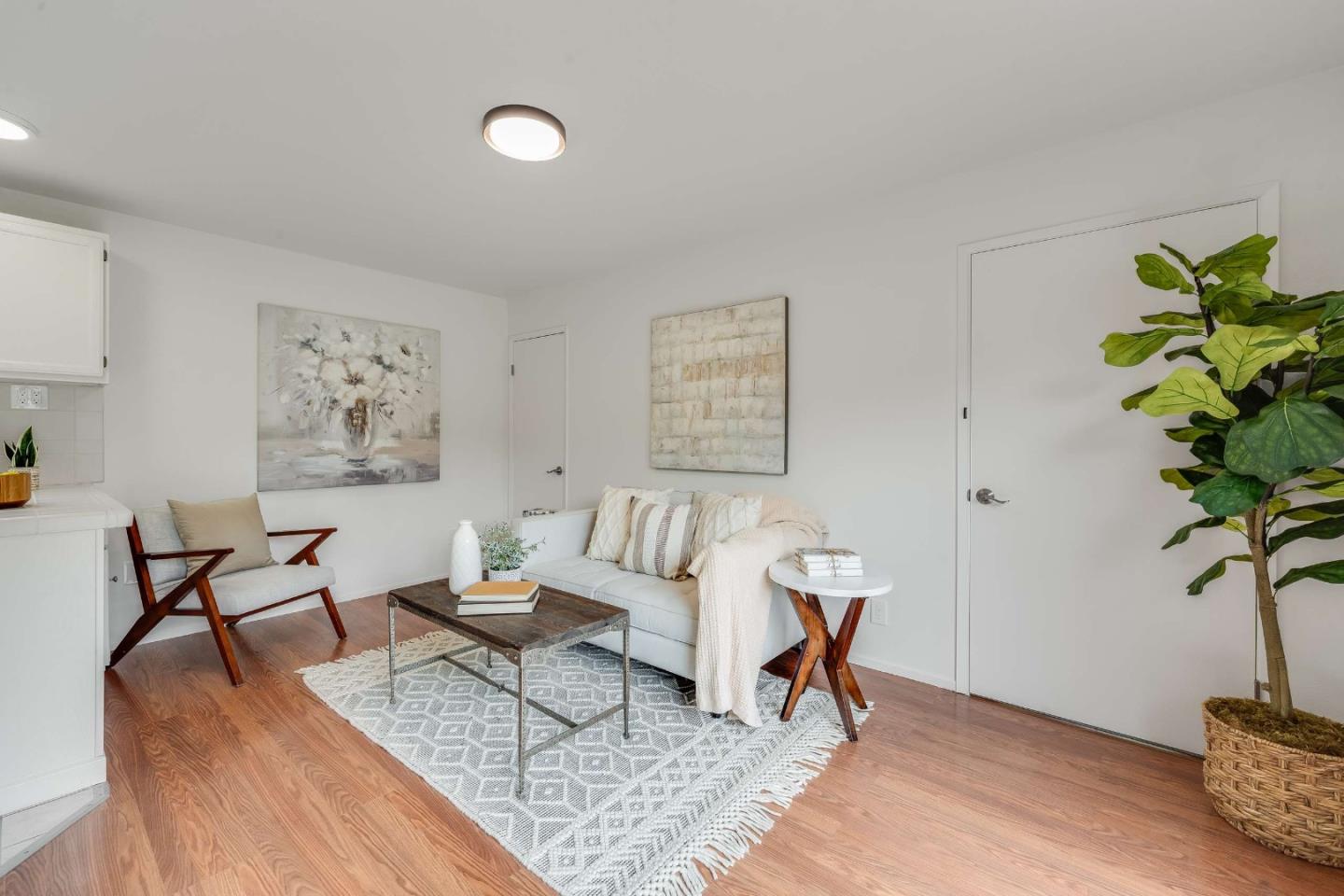 Staged living room with a white sofa, patterned rug, warm wood floors, and a potted tree.