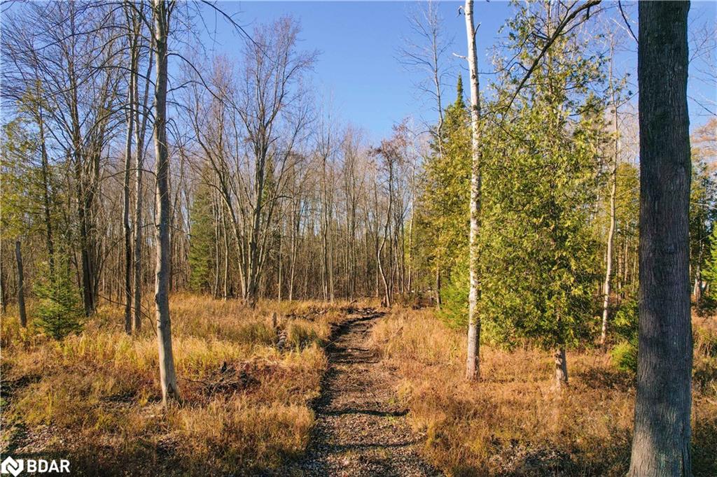 6605 County Road 21