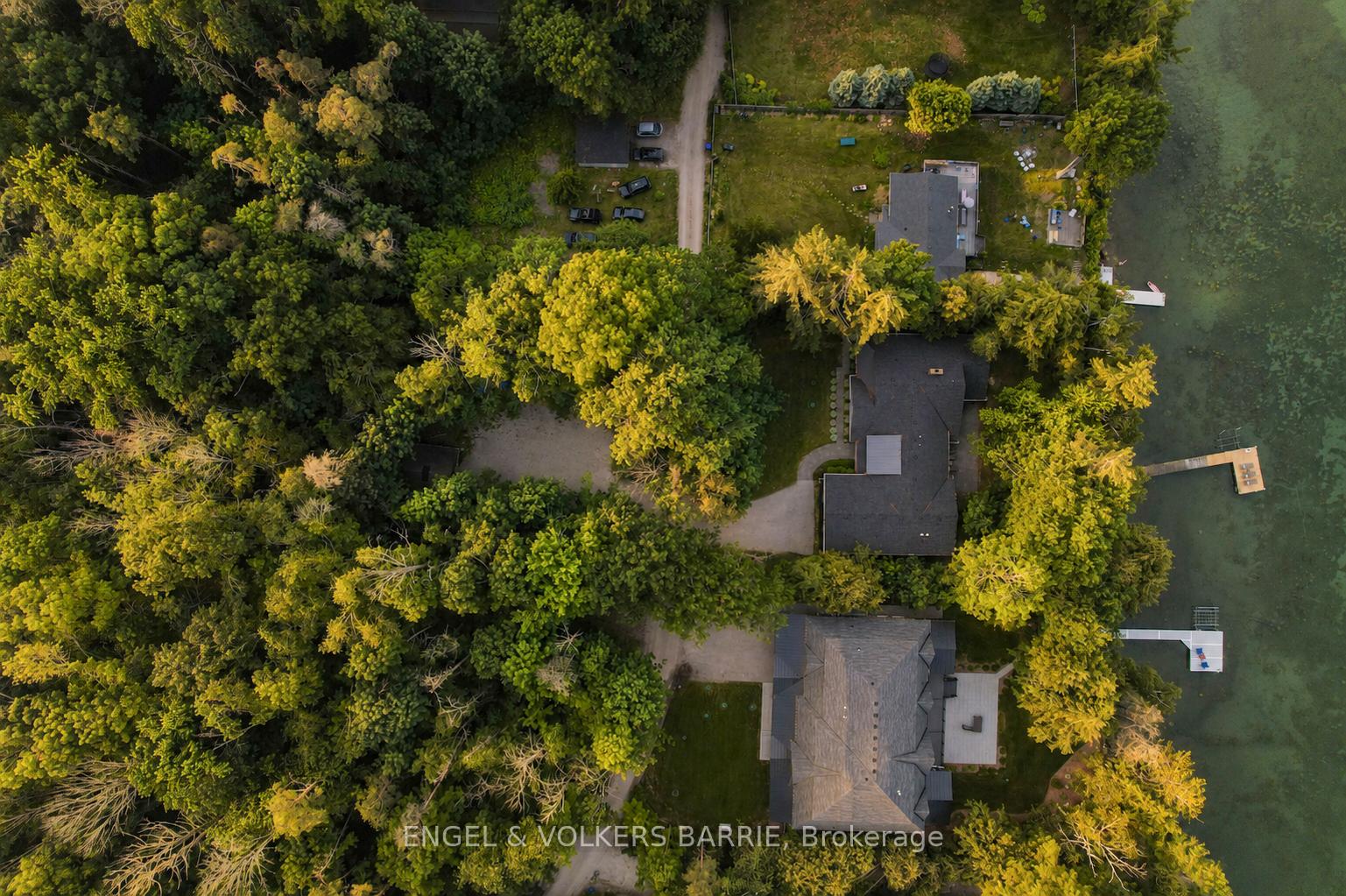 262 Trillium Place