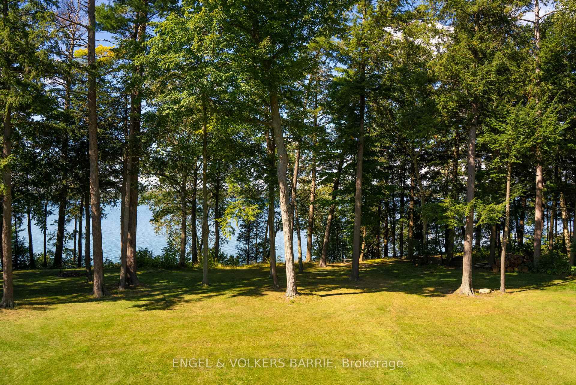 1220 Shoreview Drive