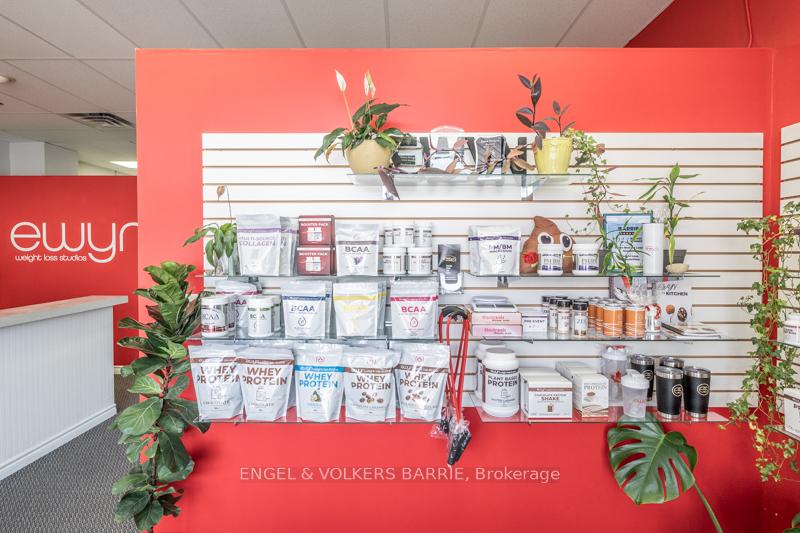 353 Anne Street N #4