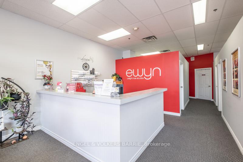 353 Anne Street N #4