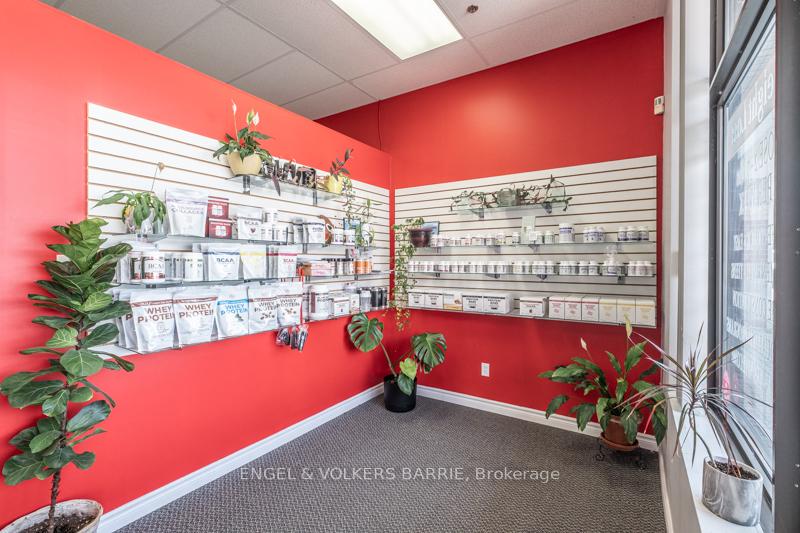 353 Anne Street N #4