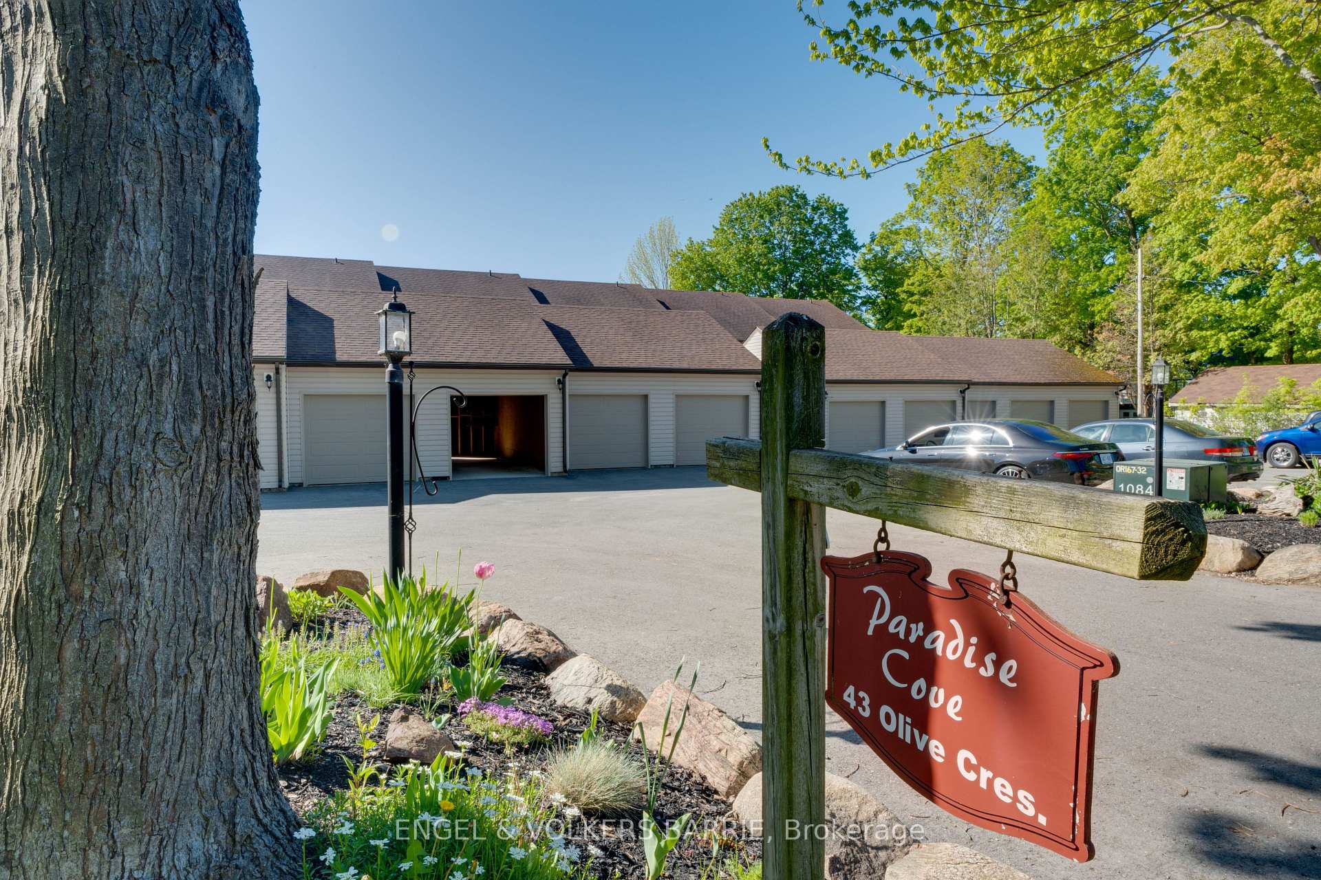 43 Olive Crescent 204