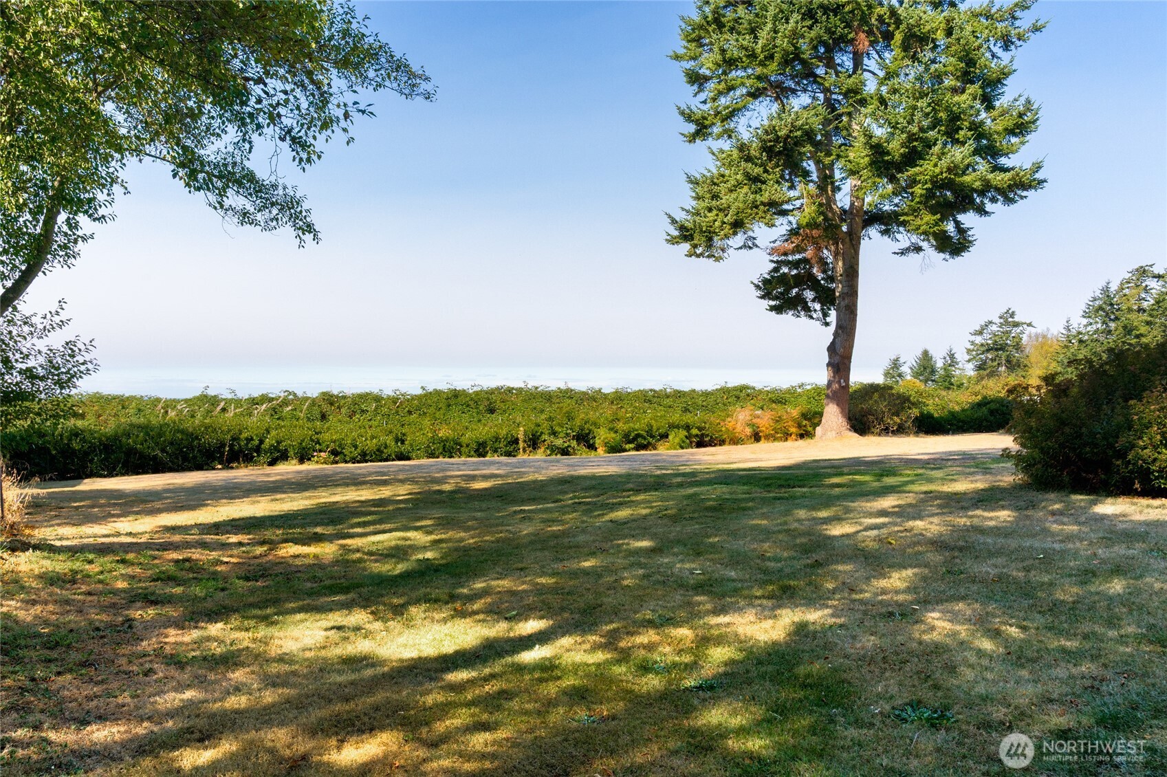 4251 Hollydale Lane