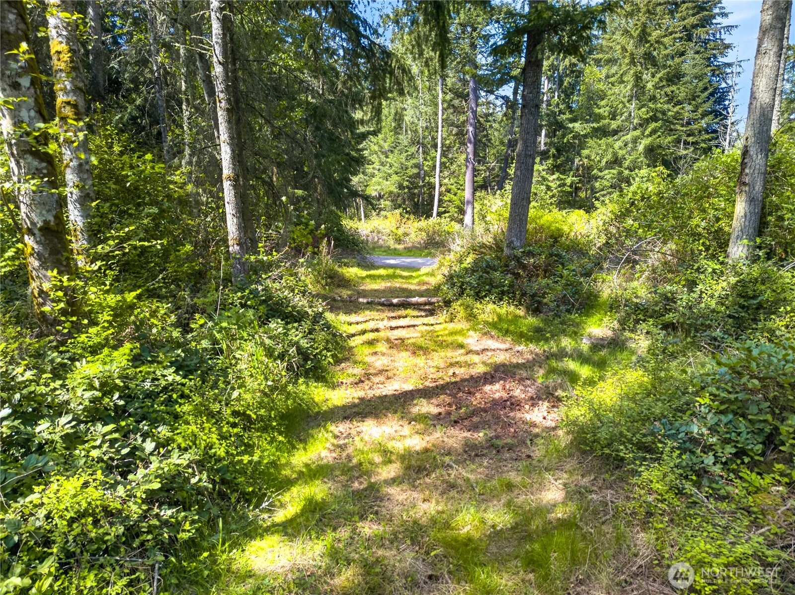 0 Evergreen Lane
