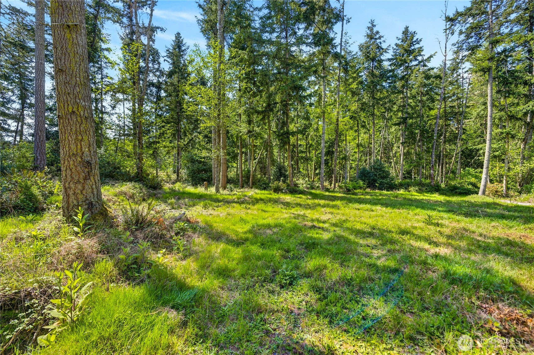0 Evergreen Lane
