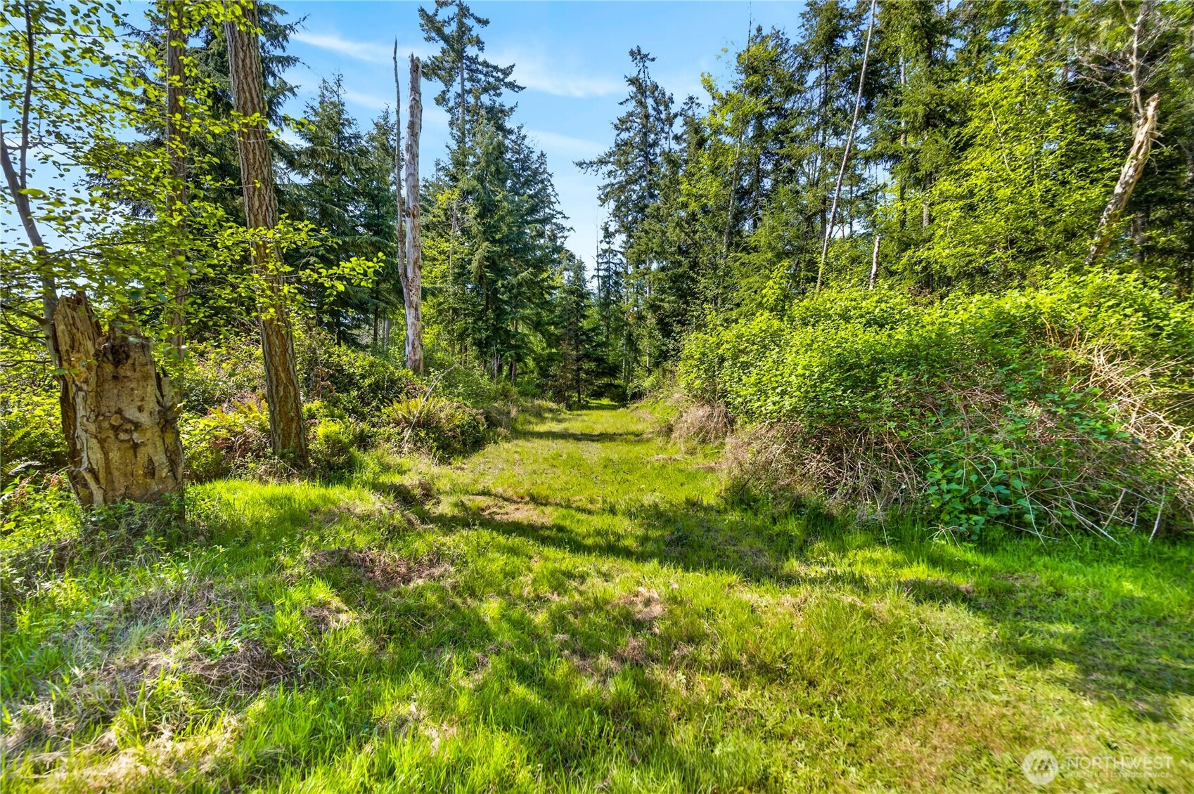 0 Evergreen Lane