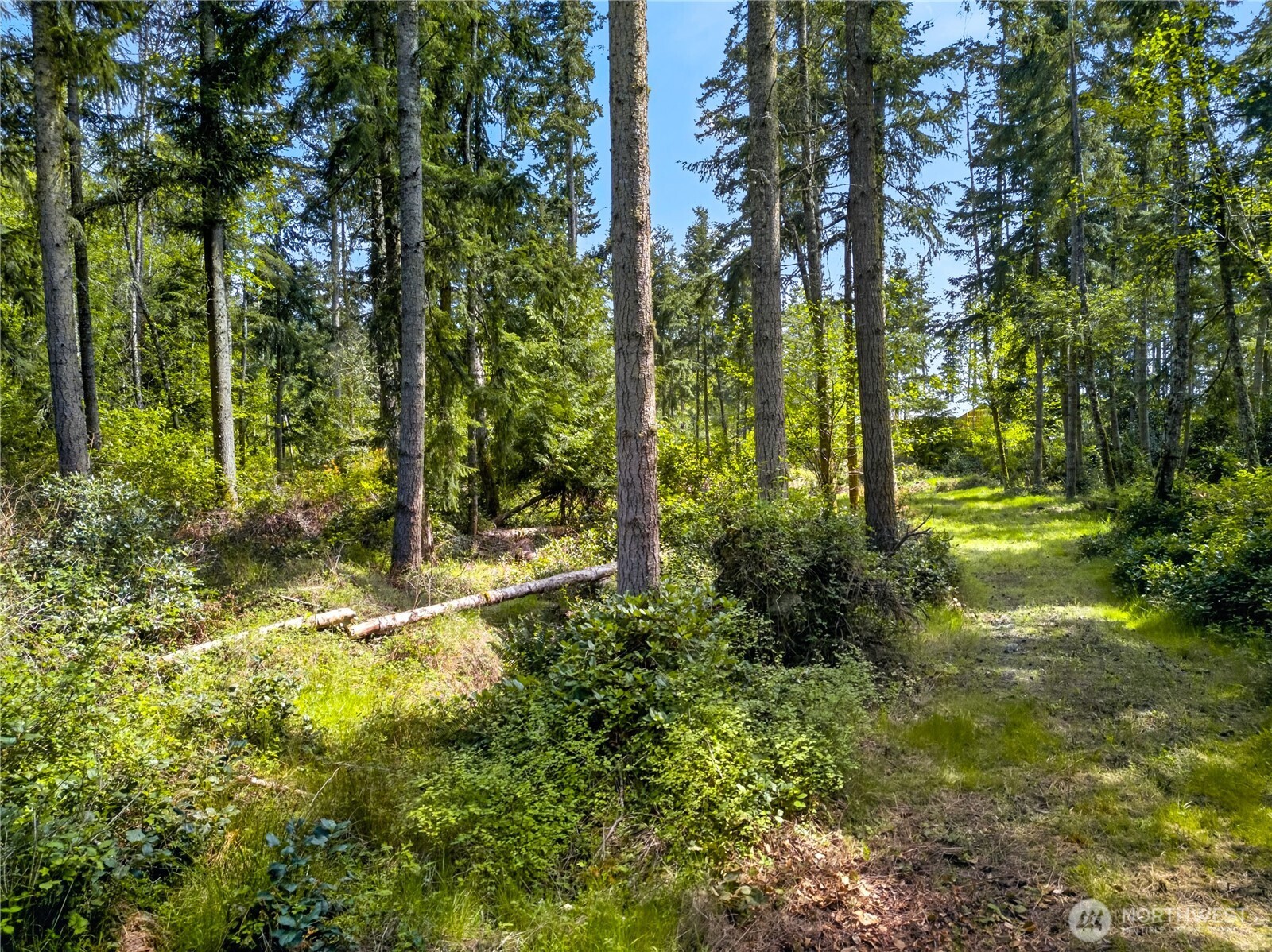 0 Evergreen Lane