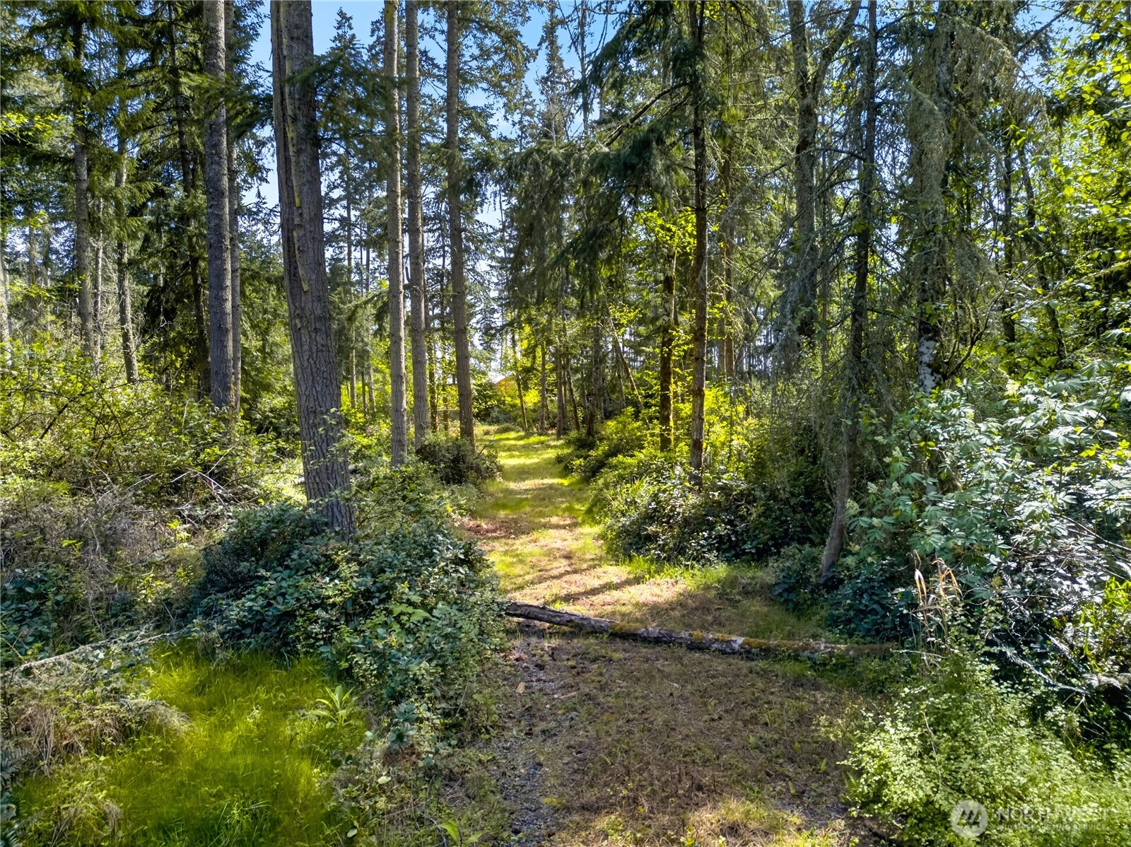 0 Evergreen Lane