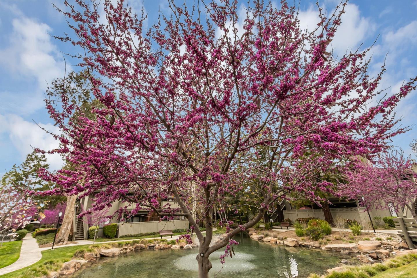 1106 La Terrace CIR