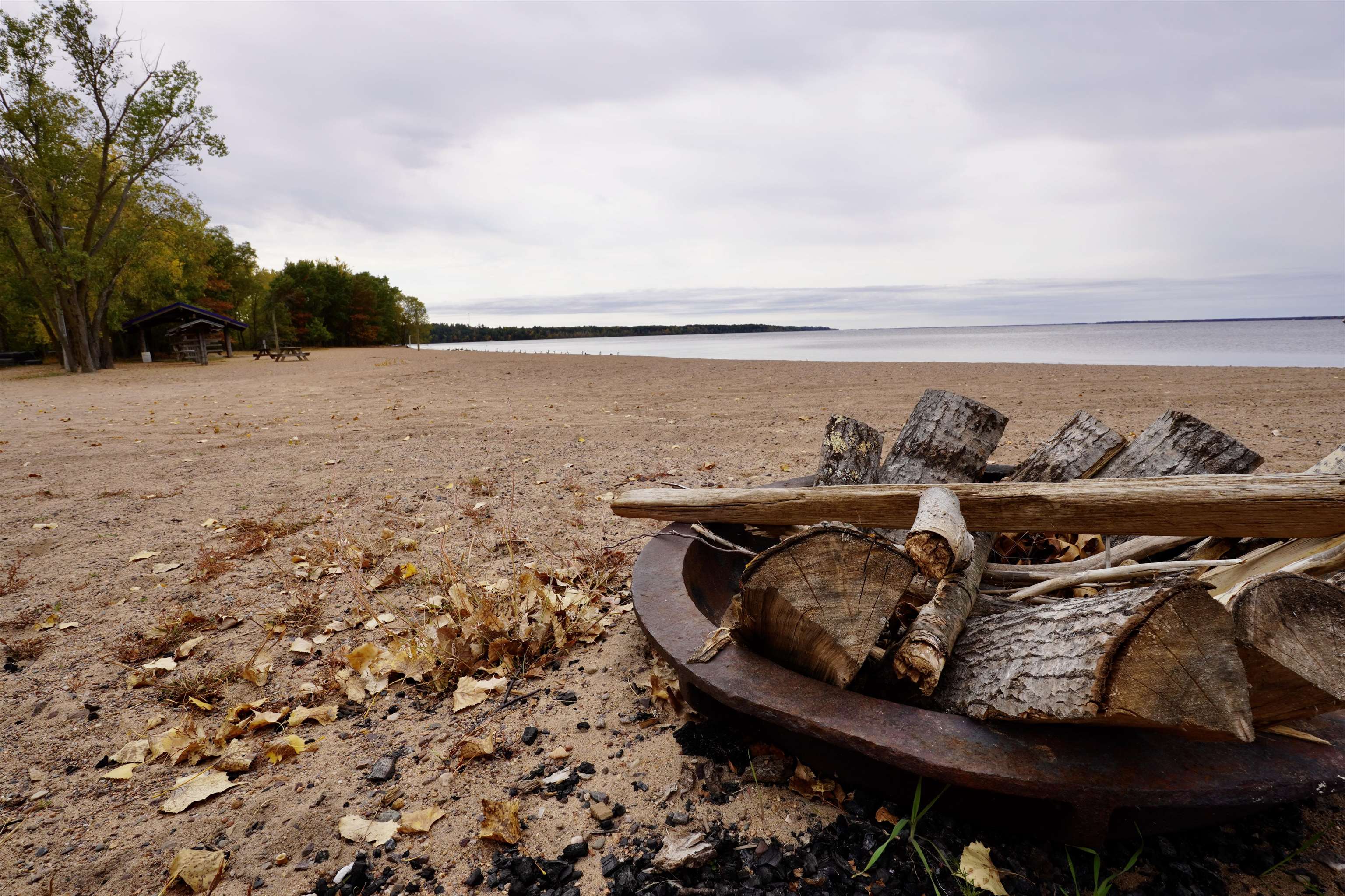Sandy lakeside beach with a wood-filled fire ring, autumn trees, and a picnic shelter.