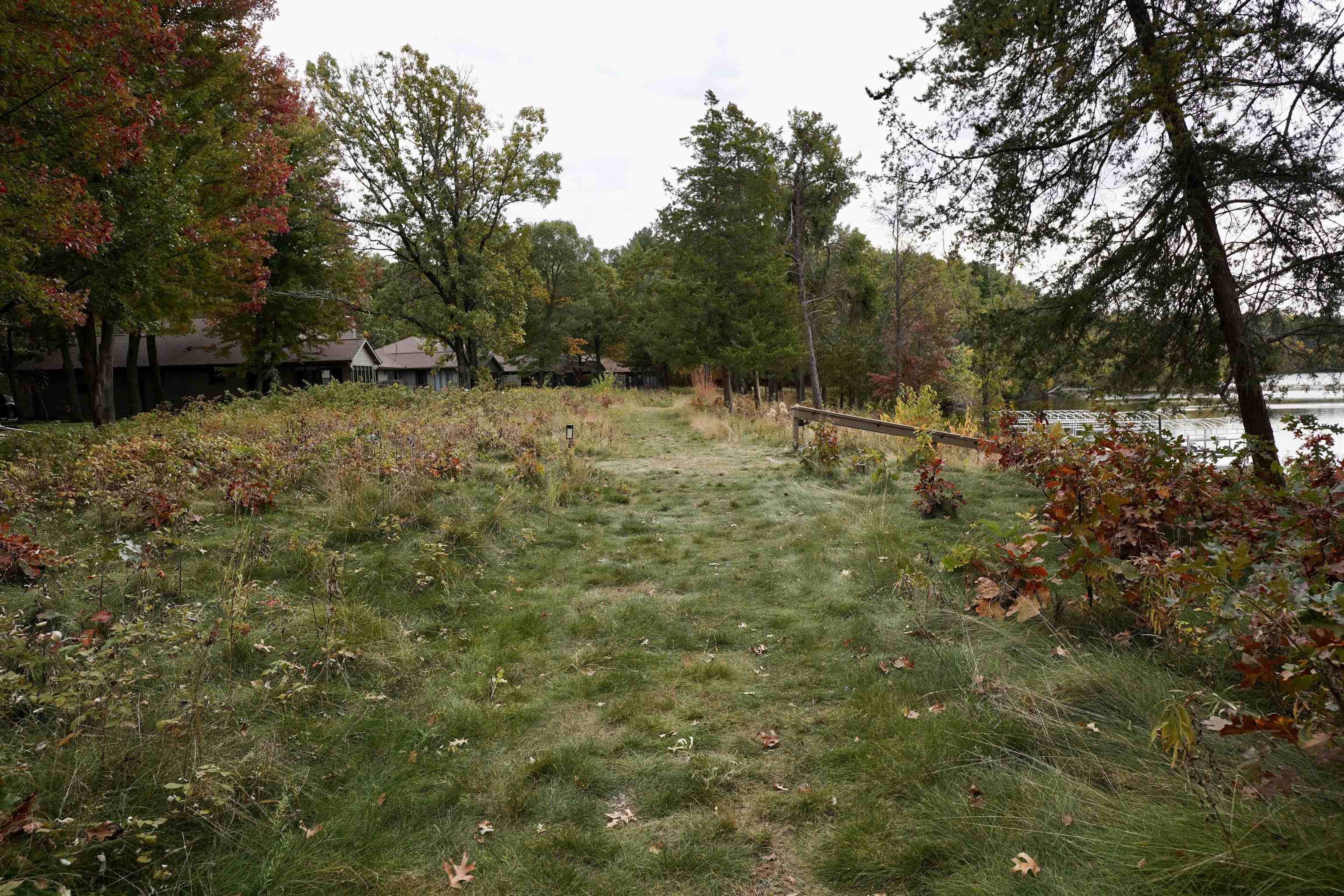 Grassy path through autumn trees toward a lake and white dock.