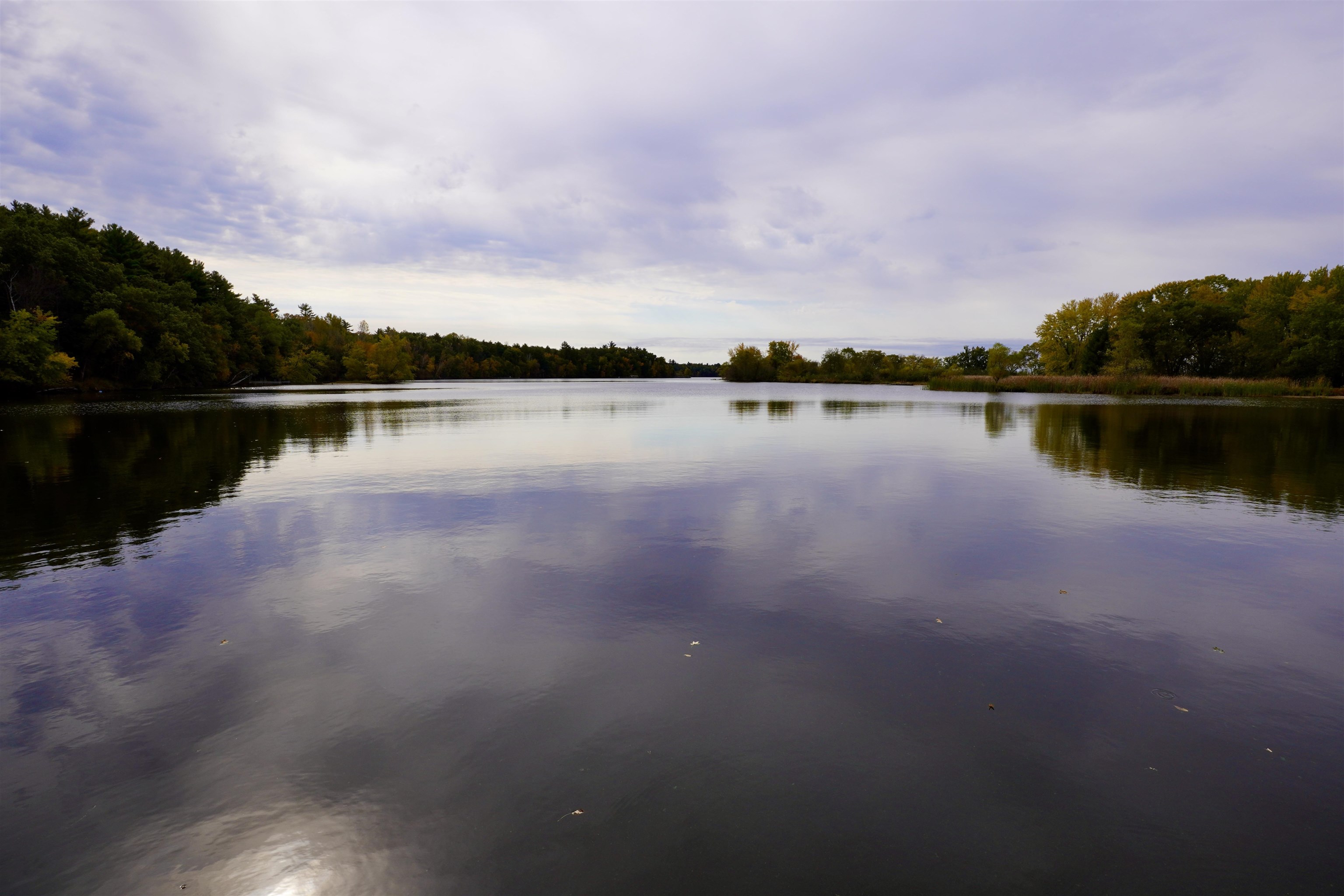 Calm lake bordered by wooded shores with early autumn foliage and reflections.