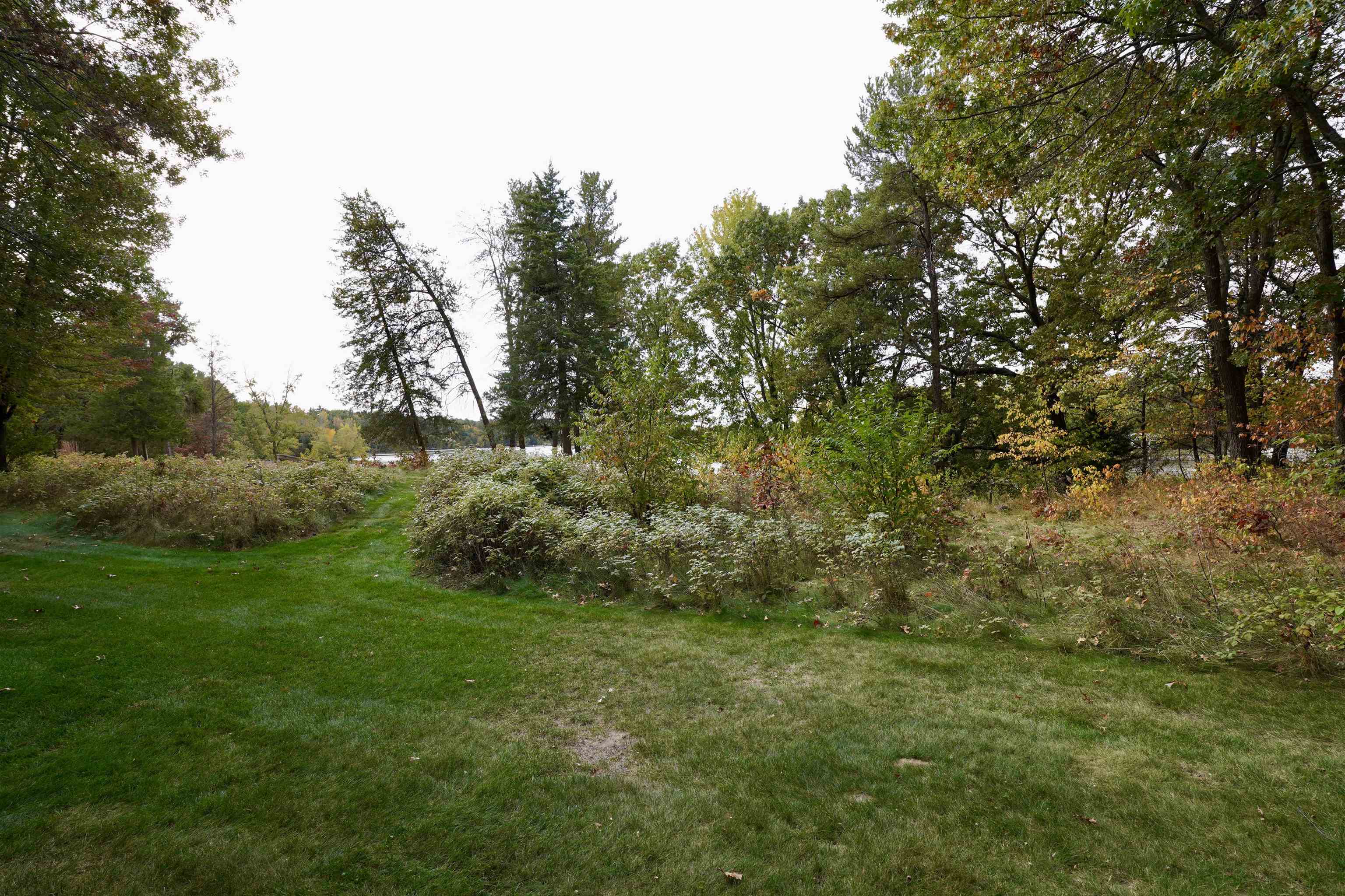Grassy lawn bordered by mature trees and shrubs, with water visible through the foliage.
