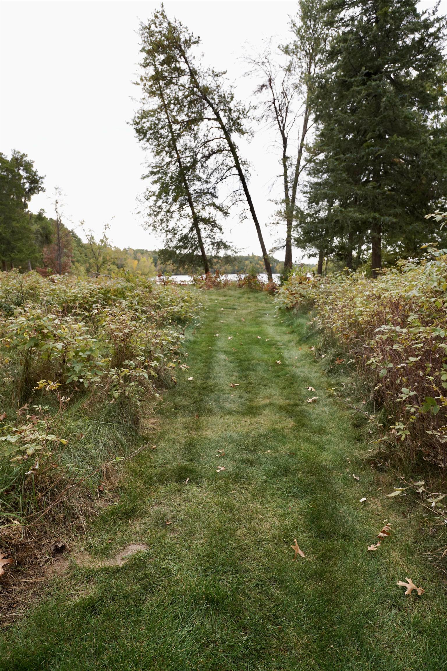 Grassy path through a wooded yard leading toward a lake, bordered by autumn foliage.