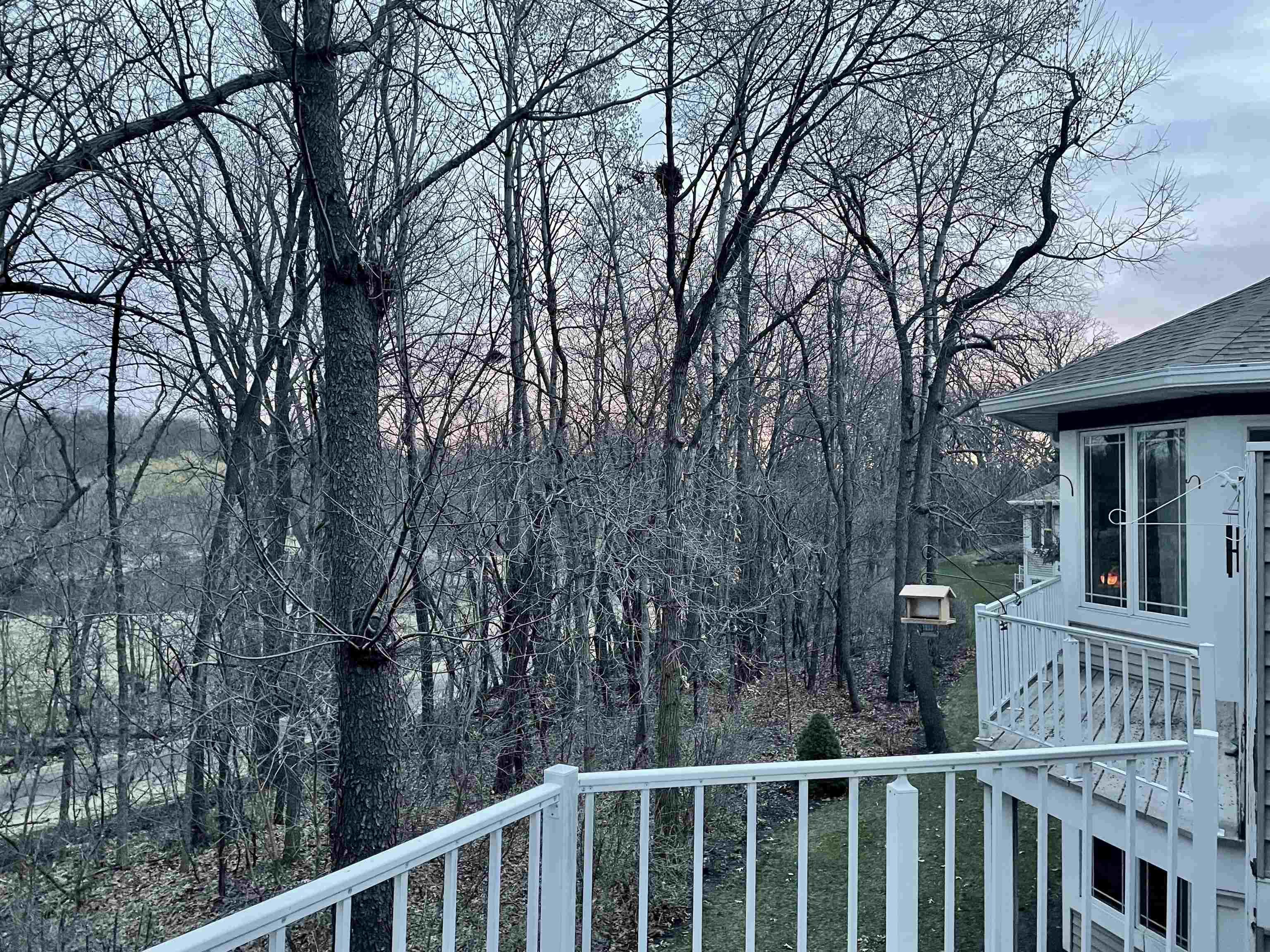 1131 Virgin Lake Drive