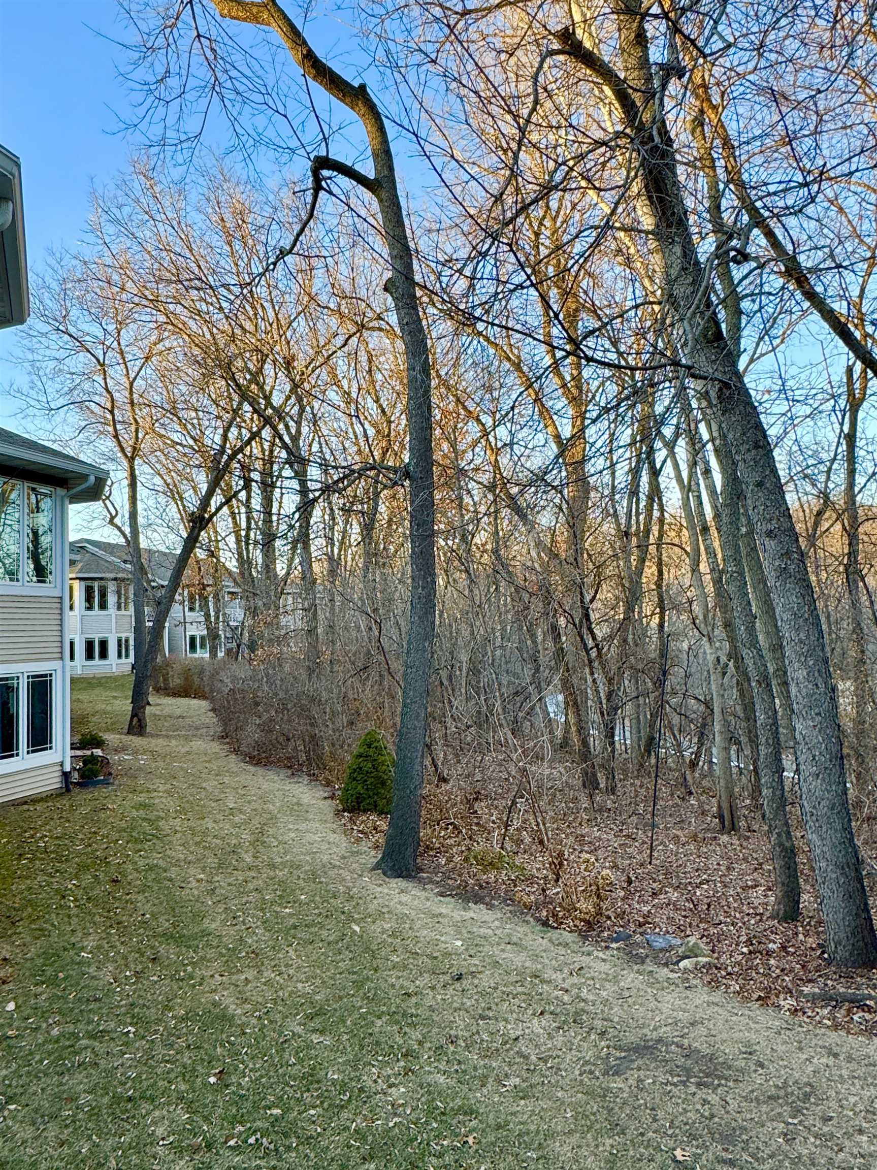 1131 Virgin Lake Drive