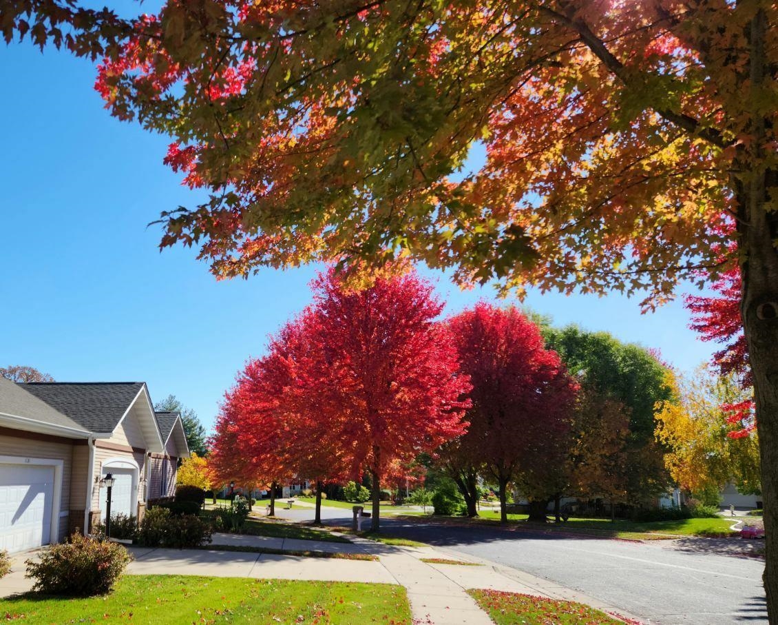 1131 Virgin Lake Drive