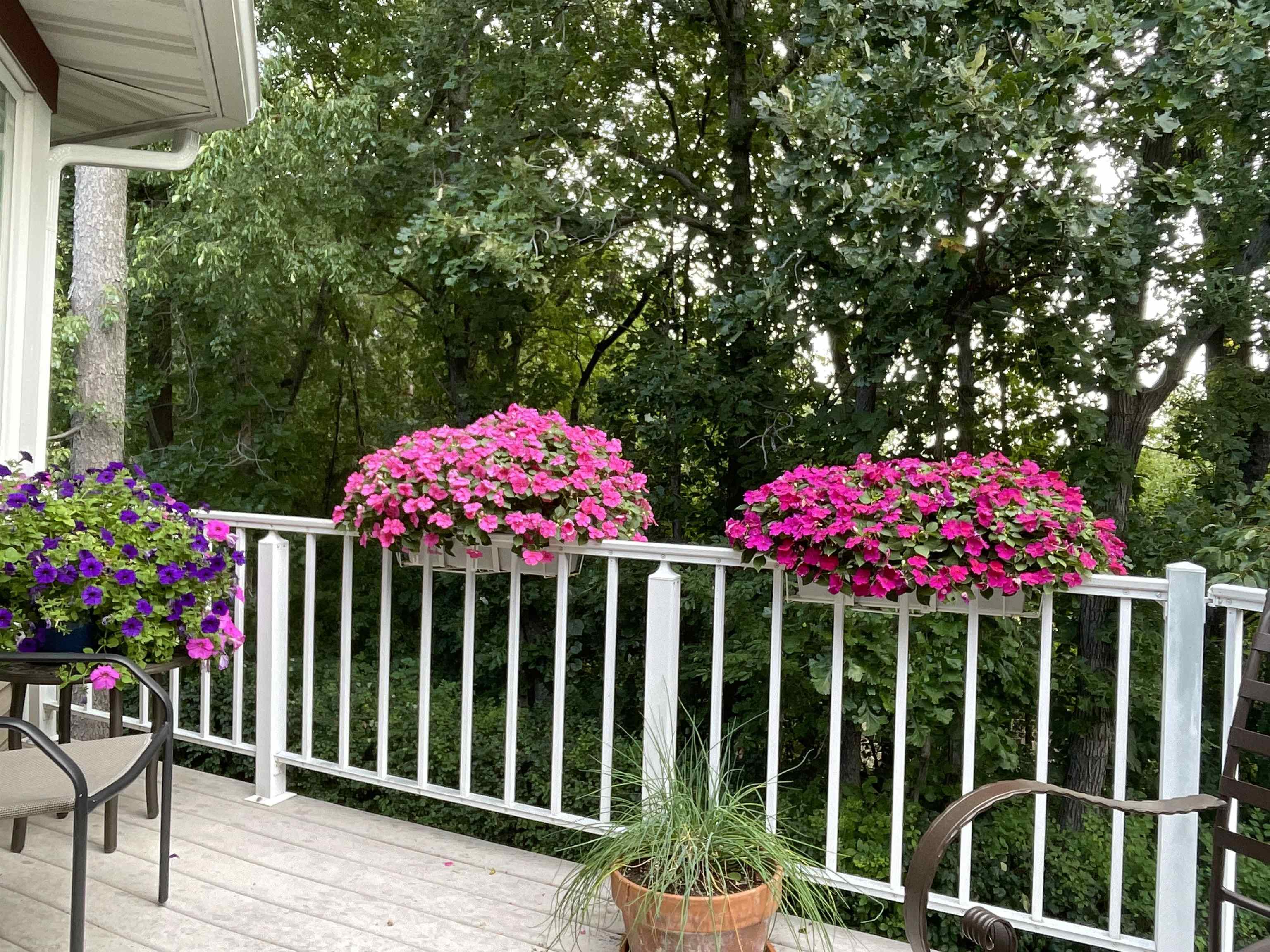 1131 Virgin Lake Drive