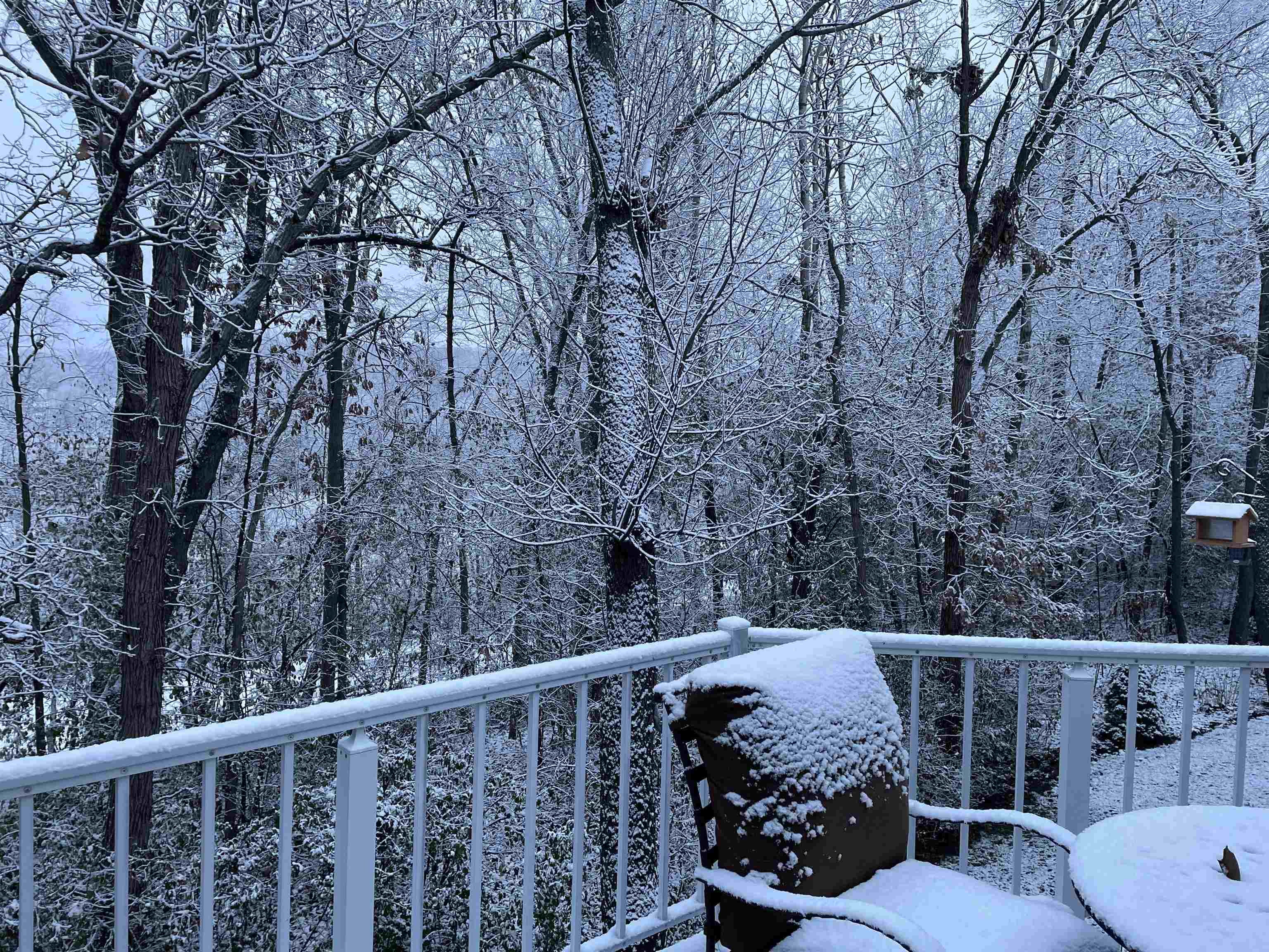 1131 Virgin Lake Drive