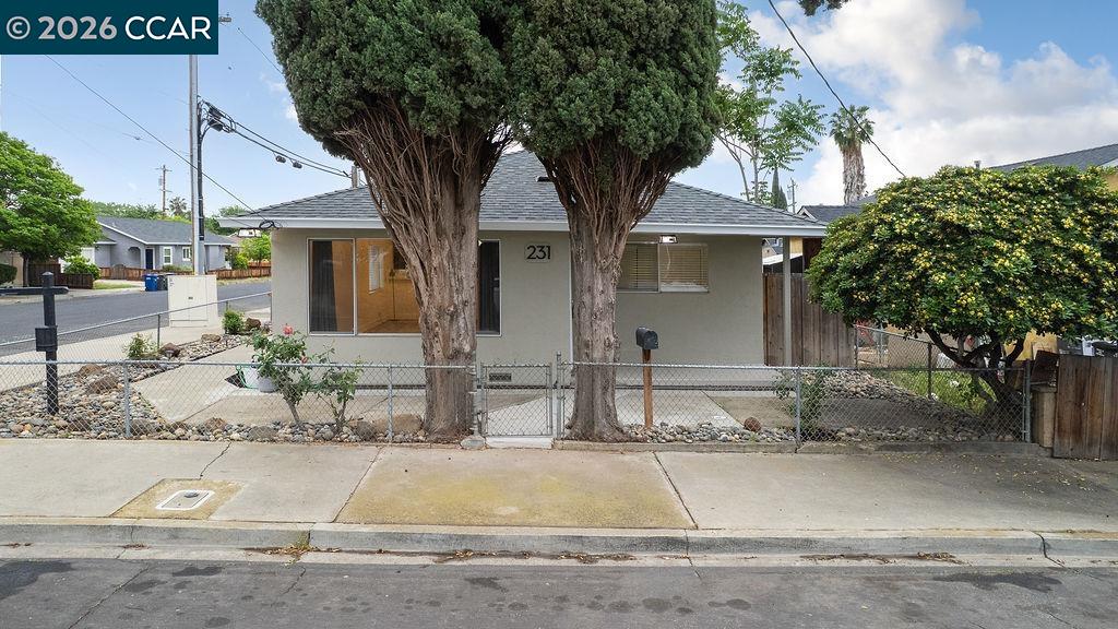 231 Star St