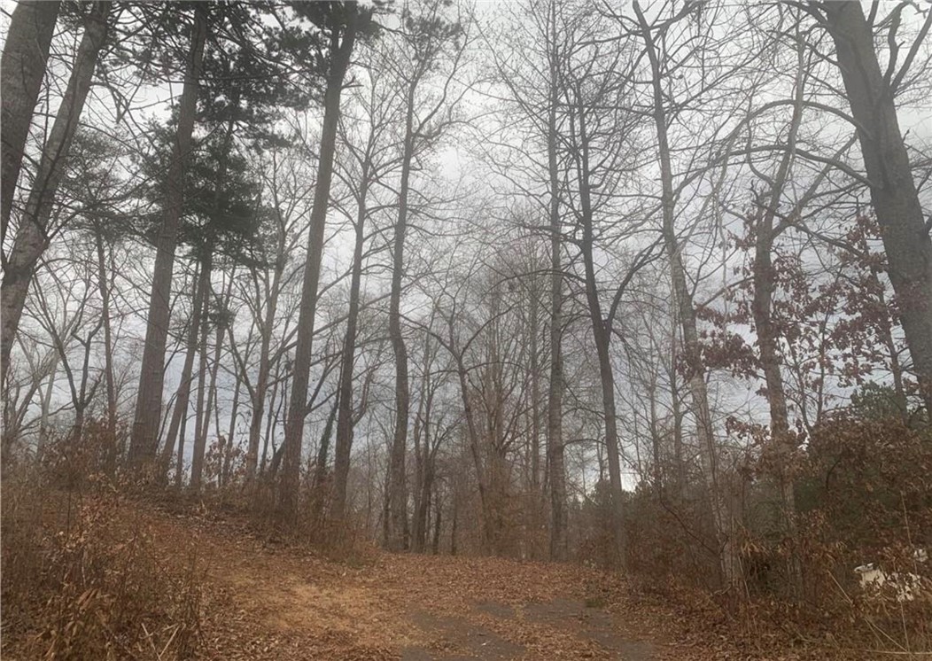 00 N Catherine Street