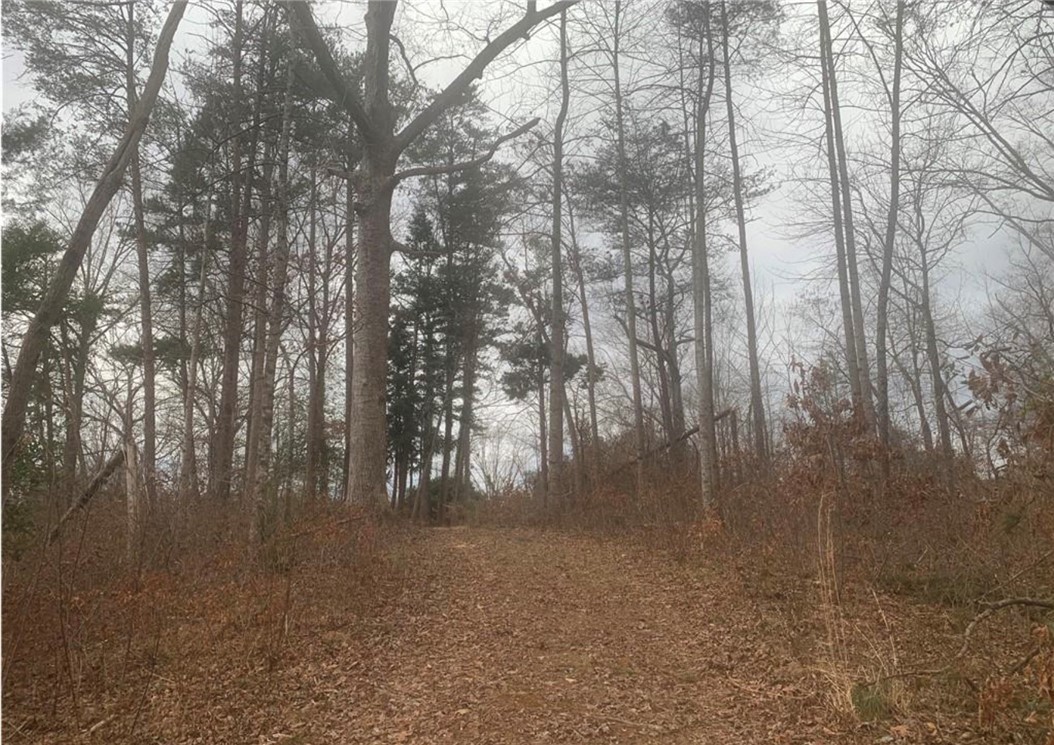 00 N Catherine Street